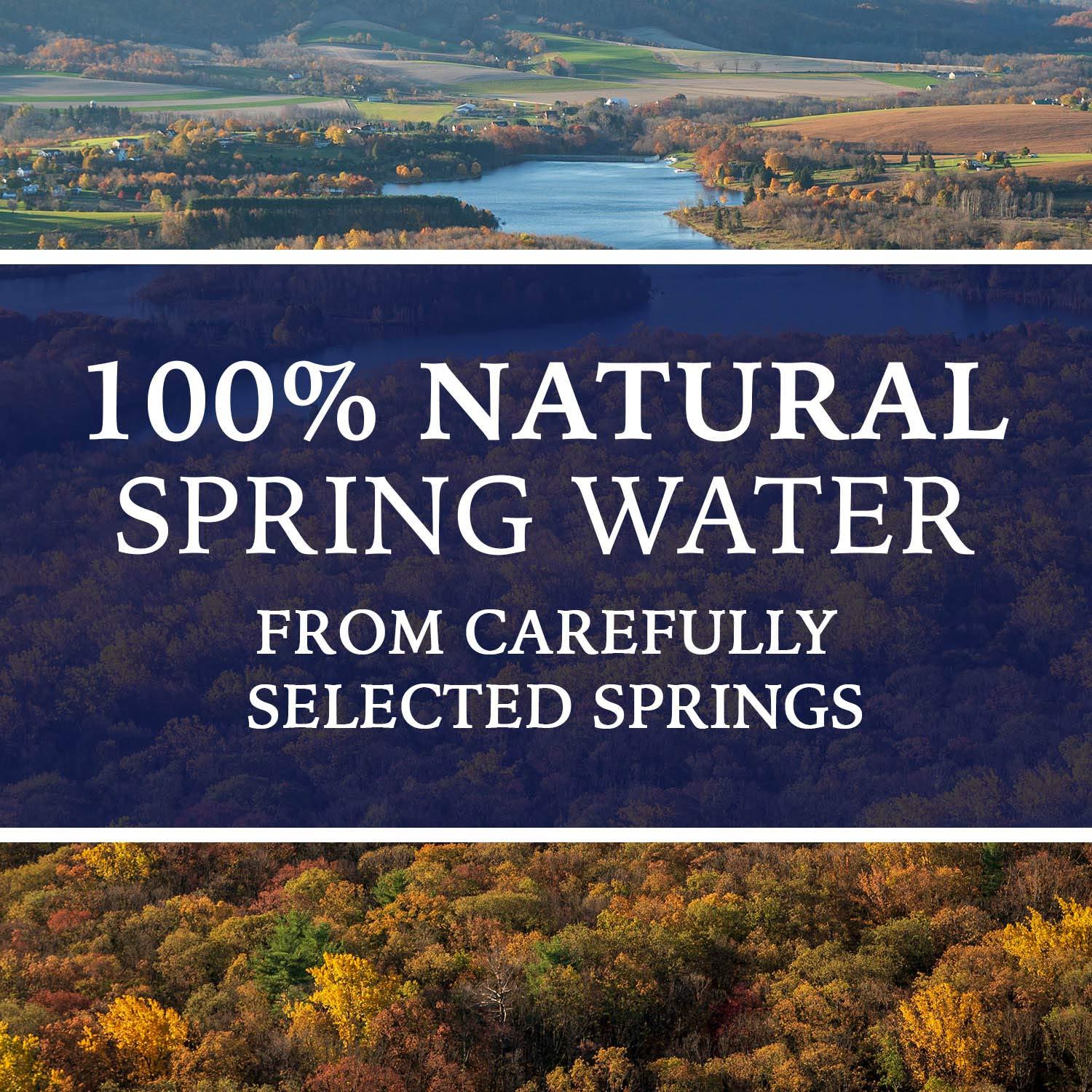 DEER PARK DEER PARK Brand 100% Natural Spring Water, 8-ounce mini plastic  bottles (Pack of 12)