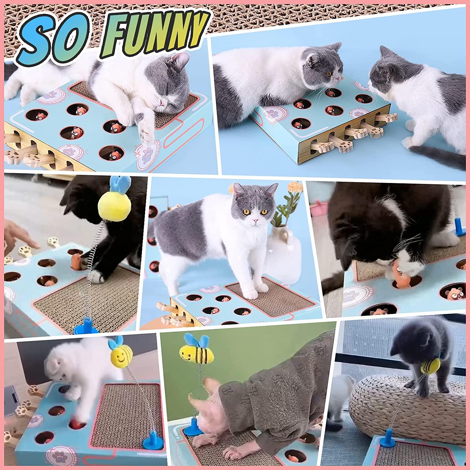 Cat Enrichment Toys for Indoor Cats, Whack a mole cat Toy with cat  Scratching pad, Cat Cardboard Box to Make Lots of Fun, cat Interactive Toy  to Relieve Boredom and Train IQ.