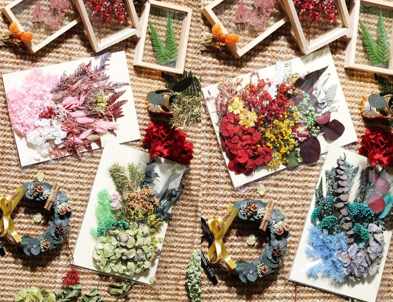 Dried Pressed Natural Flowers Daisies for Candles Handmade Art
