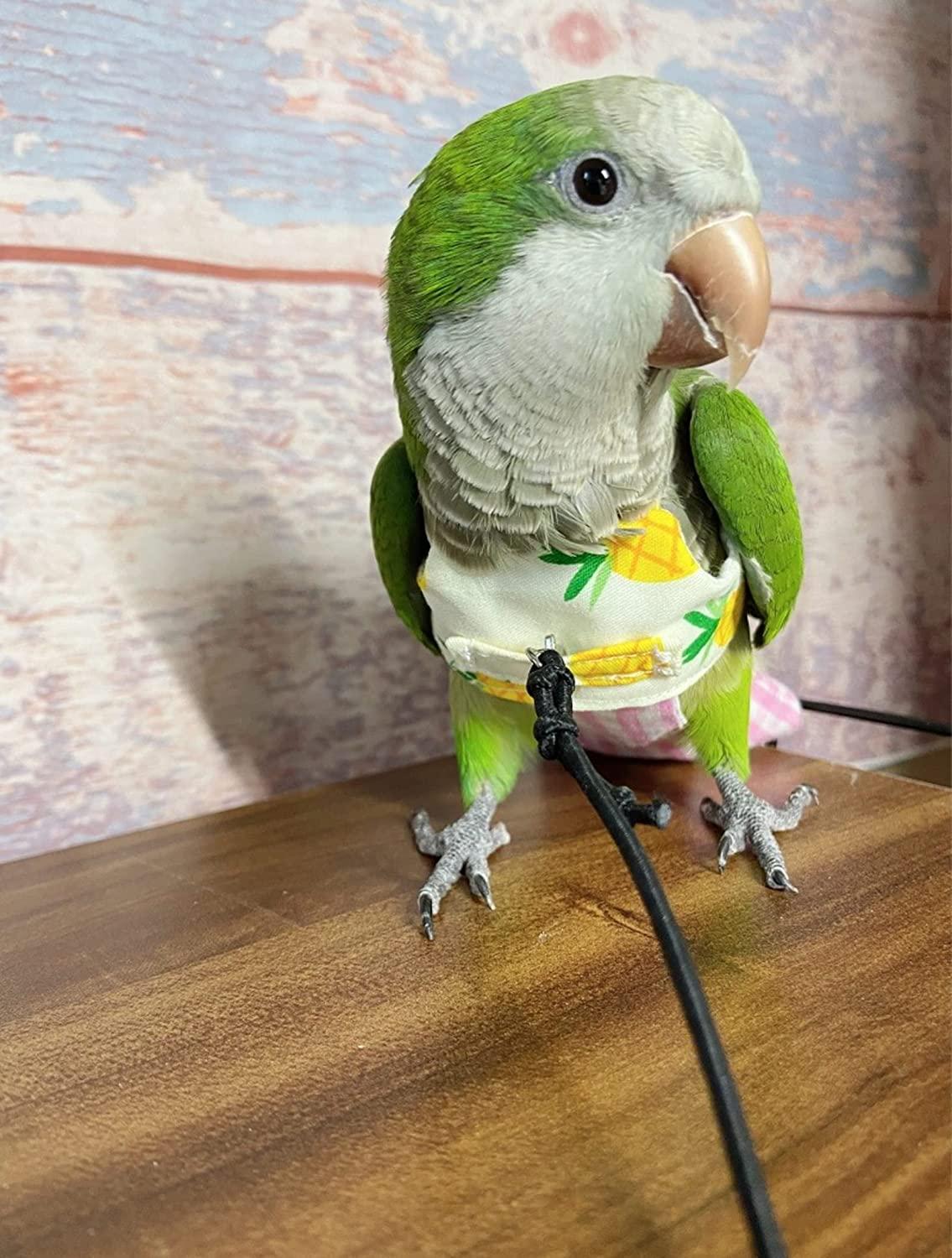 HEZHUO Bird Flight Harness Vest, Parrot Suit with Leash for Parakeets  Cockatiels Conures Budgies, Flying Clothes Rope and Handle Outdoor  Activities