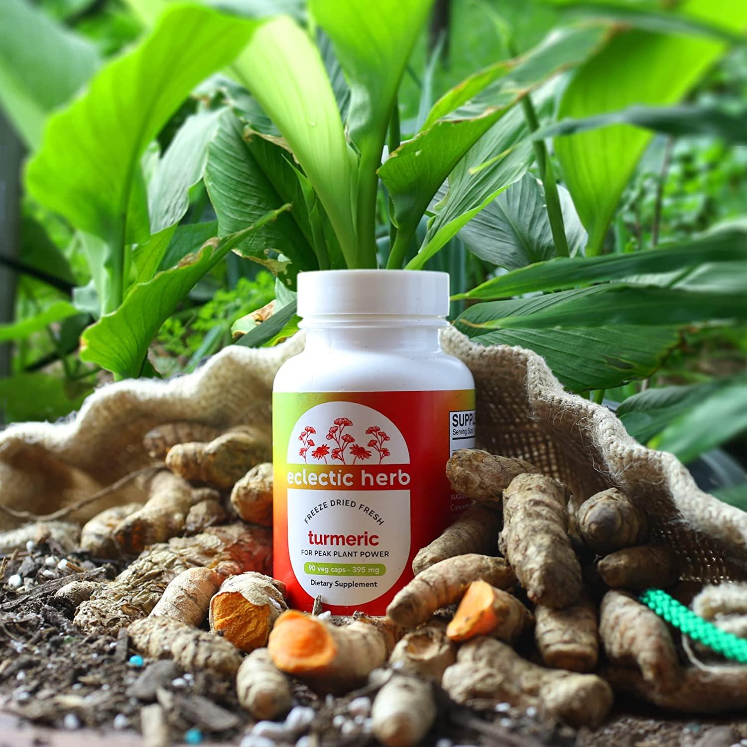 Eclectic Institute Raw Fresh FreezeDried Turmeric 395 mg 90 NonGMO