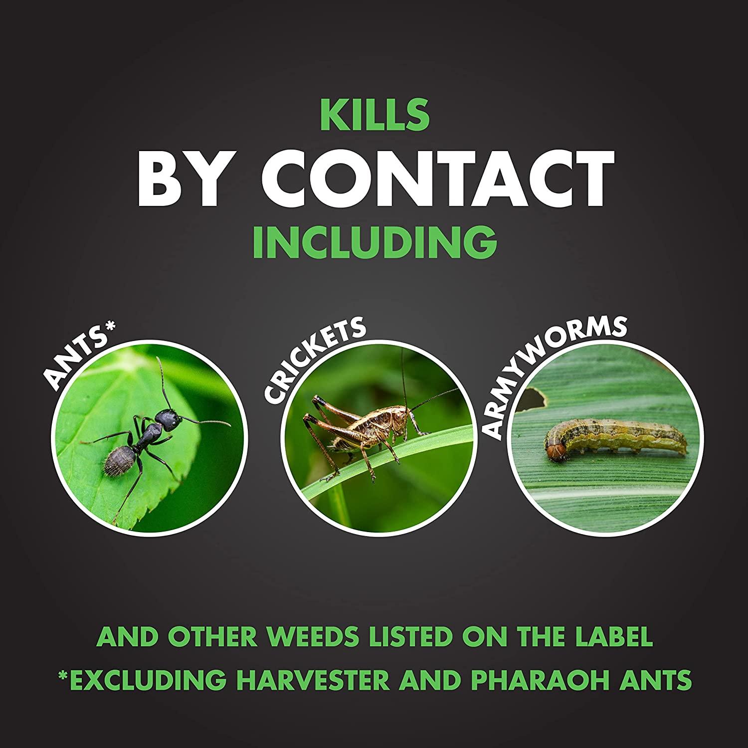 Spectracide Triazicide Insect Killer For Lawns Granules, 10 Pounds