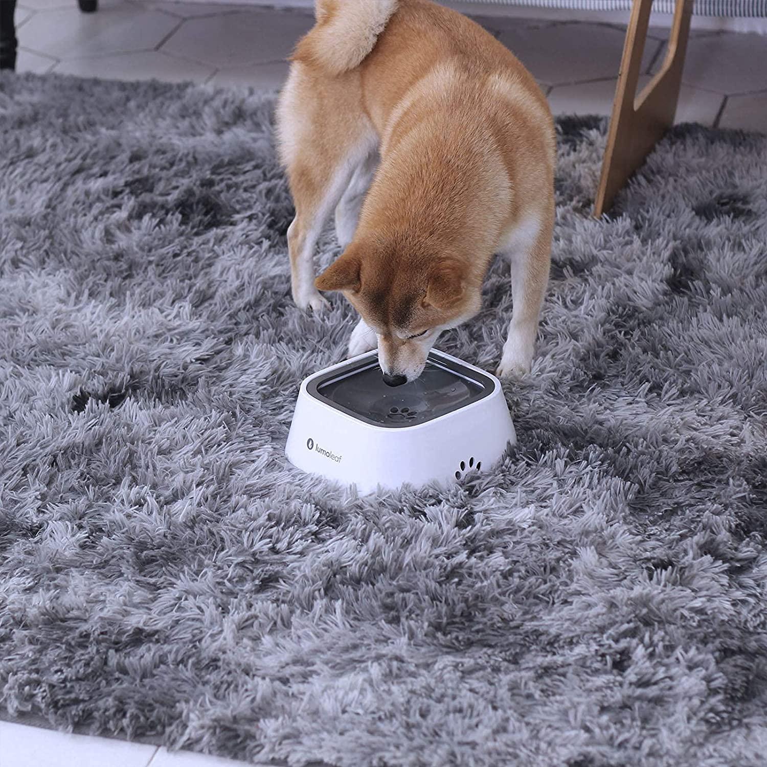 LumoLeaf Slow Feeder Dog Bowls