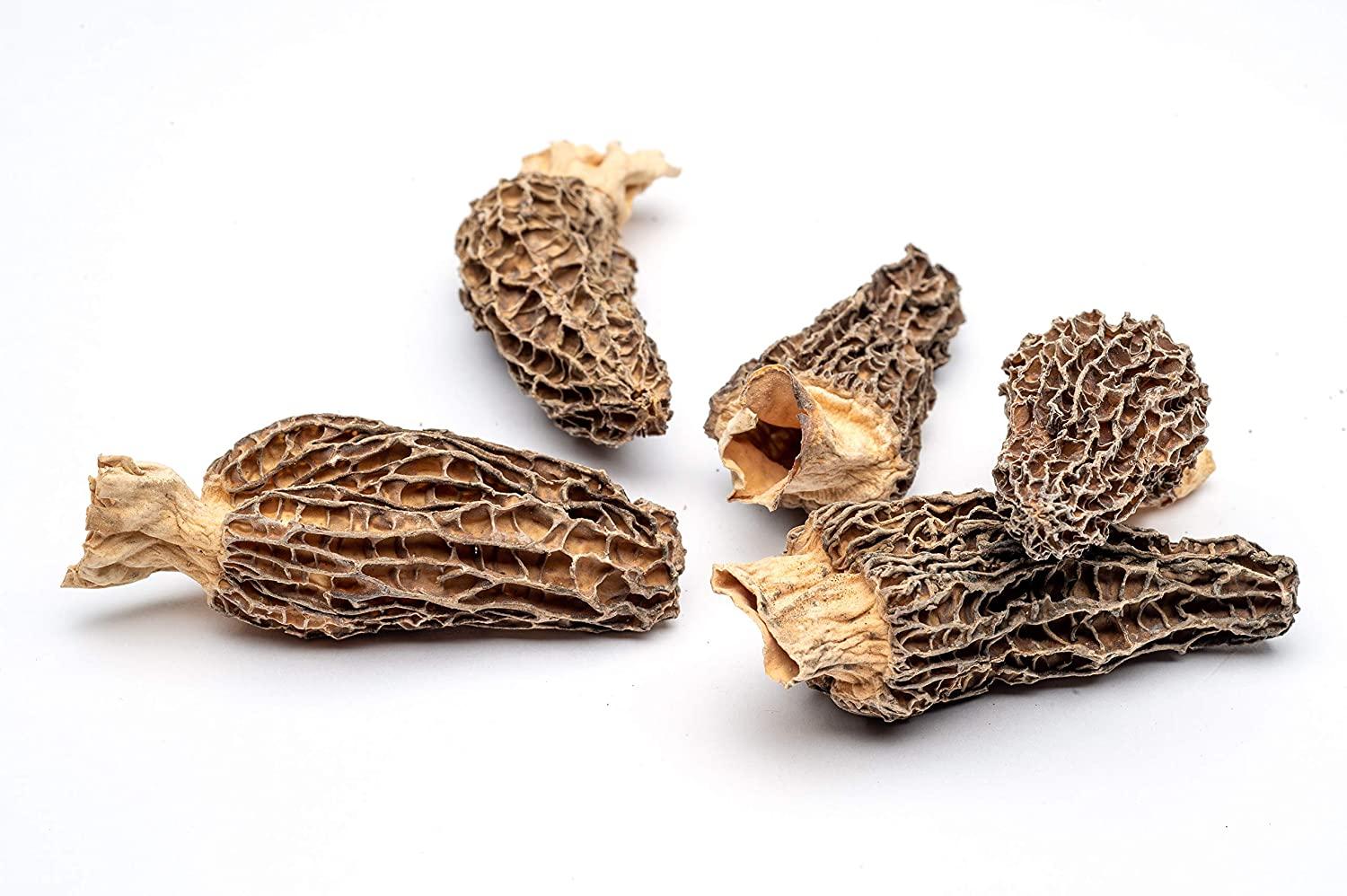 Slofoodgroup Dried Morel Mushrooms (Morchella Conica) Gourmet Morel