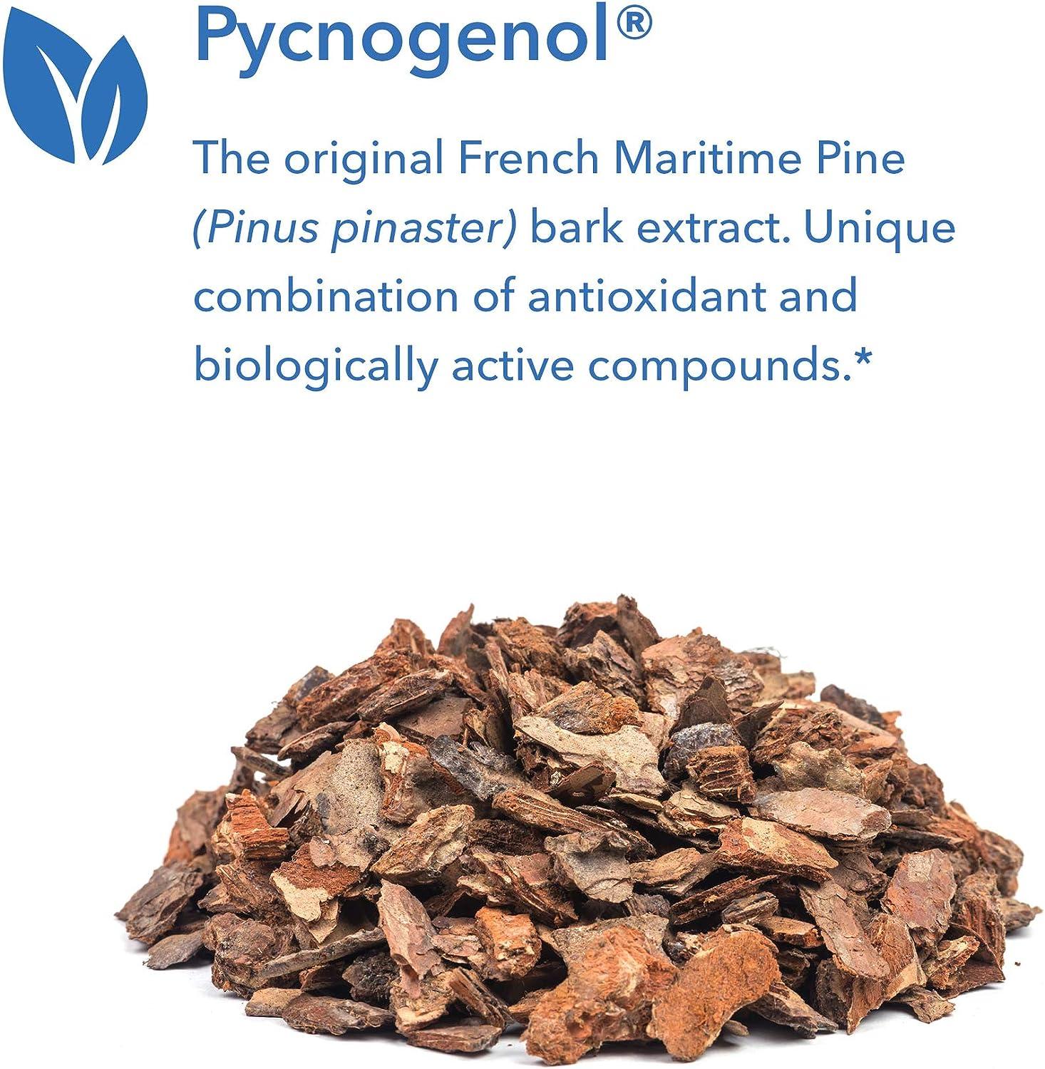 Pycnogenol 100 Pine Bark Supplement - Heart, Brain, Circulation Support ...