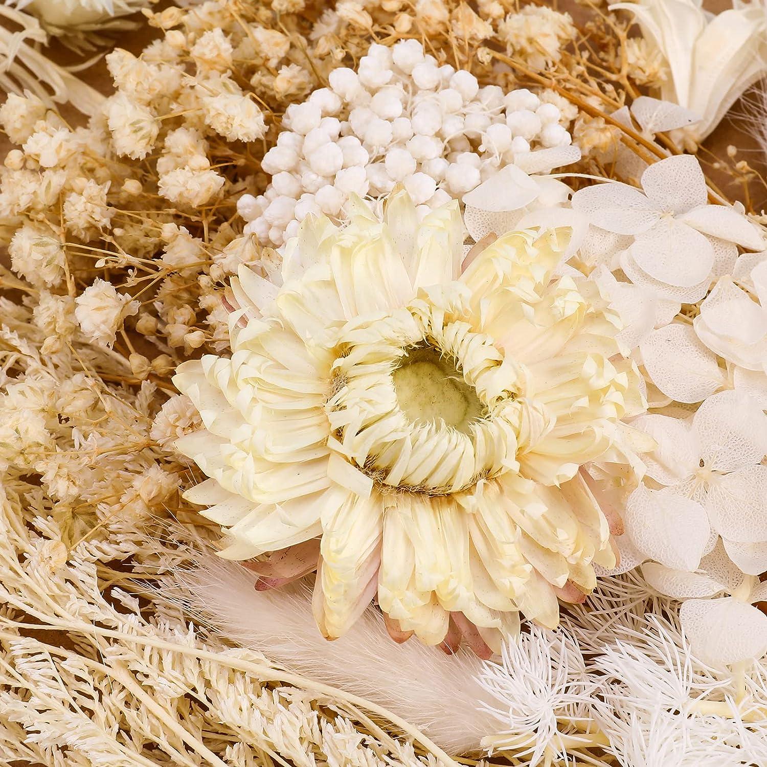 Natural Dried Bouquet
