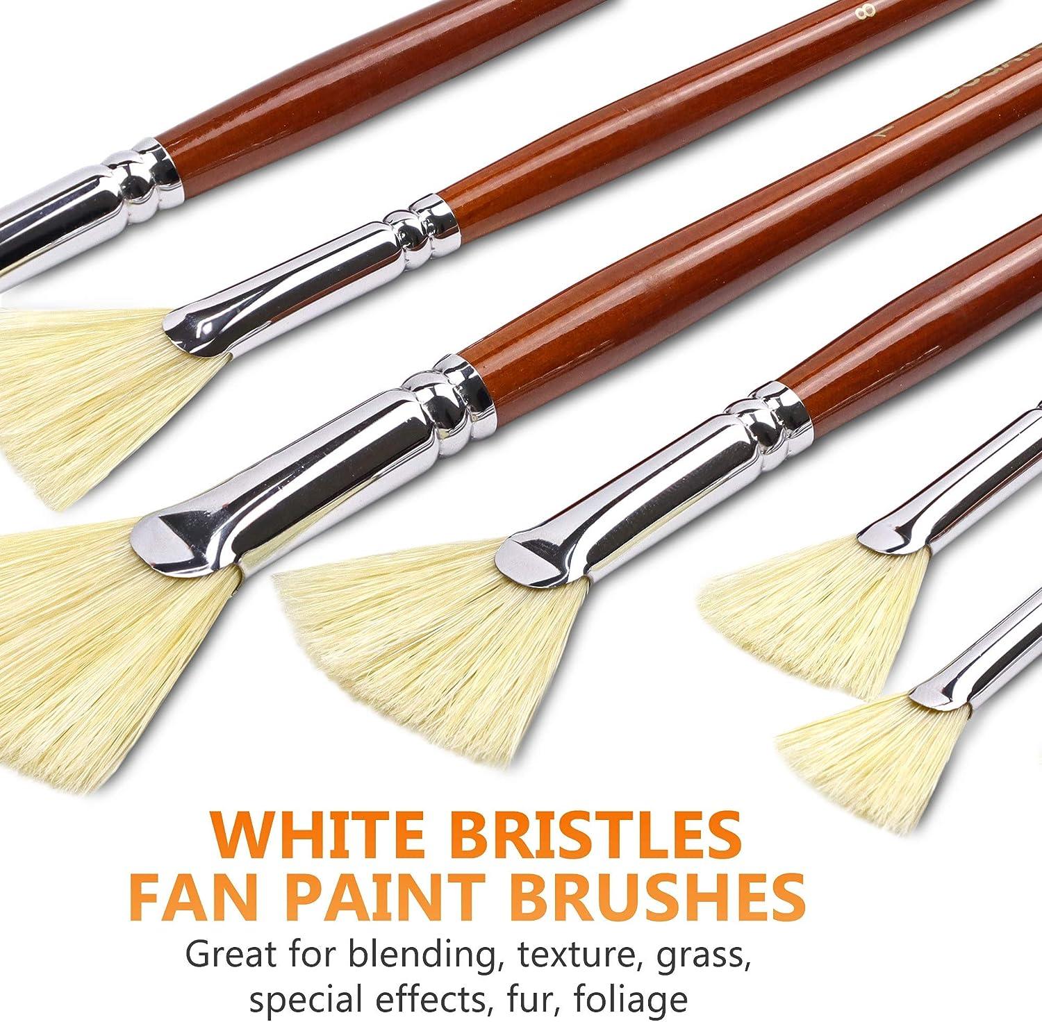 DUGATO Artist Fan Paint Brush Set of 7 White Hog Bristle Natural