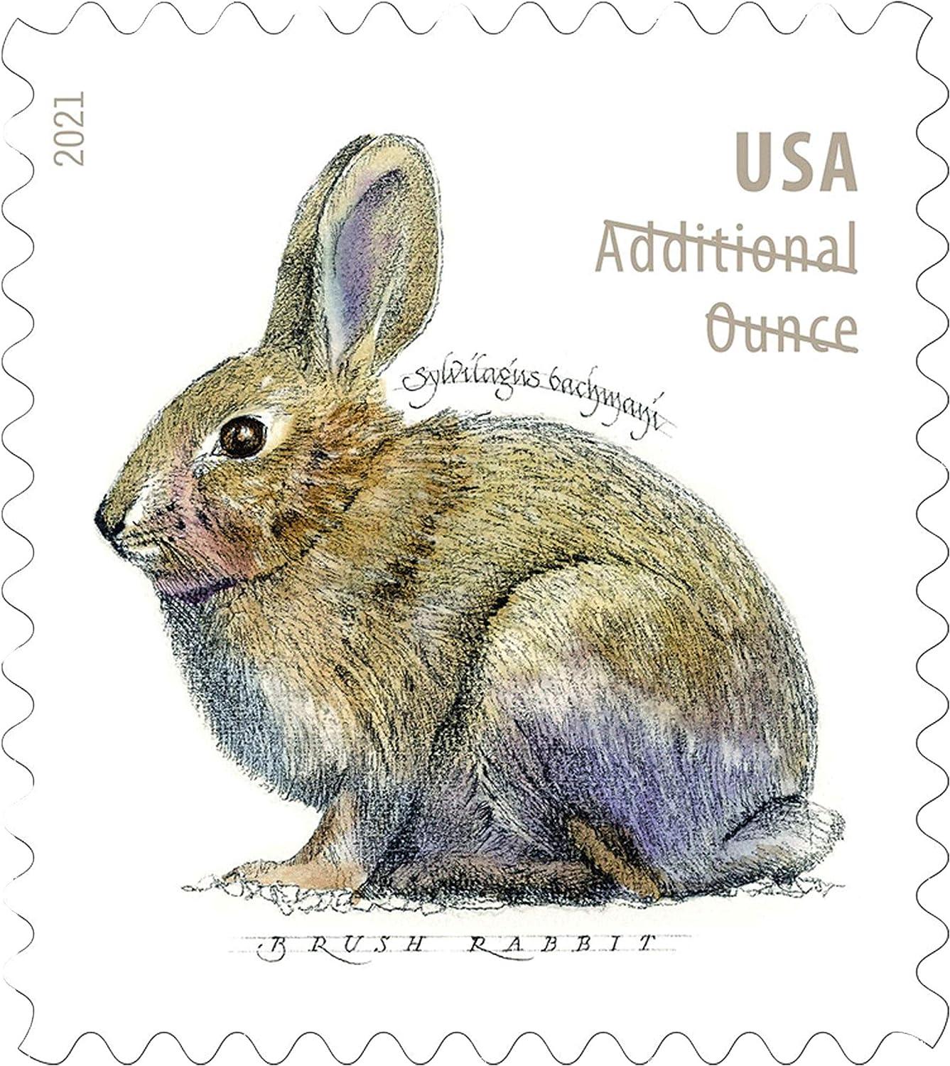 Brush Rabbit Additional Ounce Forever Postage Stamps Sheet of 20 US Postal  First Class Wedding Celebration Anniversary Party (20 Stamps) Use Three of  These Stamps for one Ounce Letters. Stamp1
