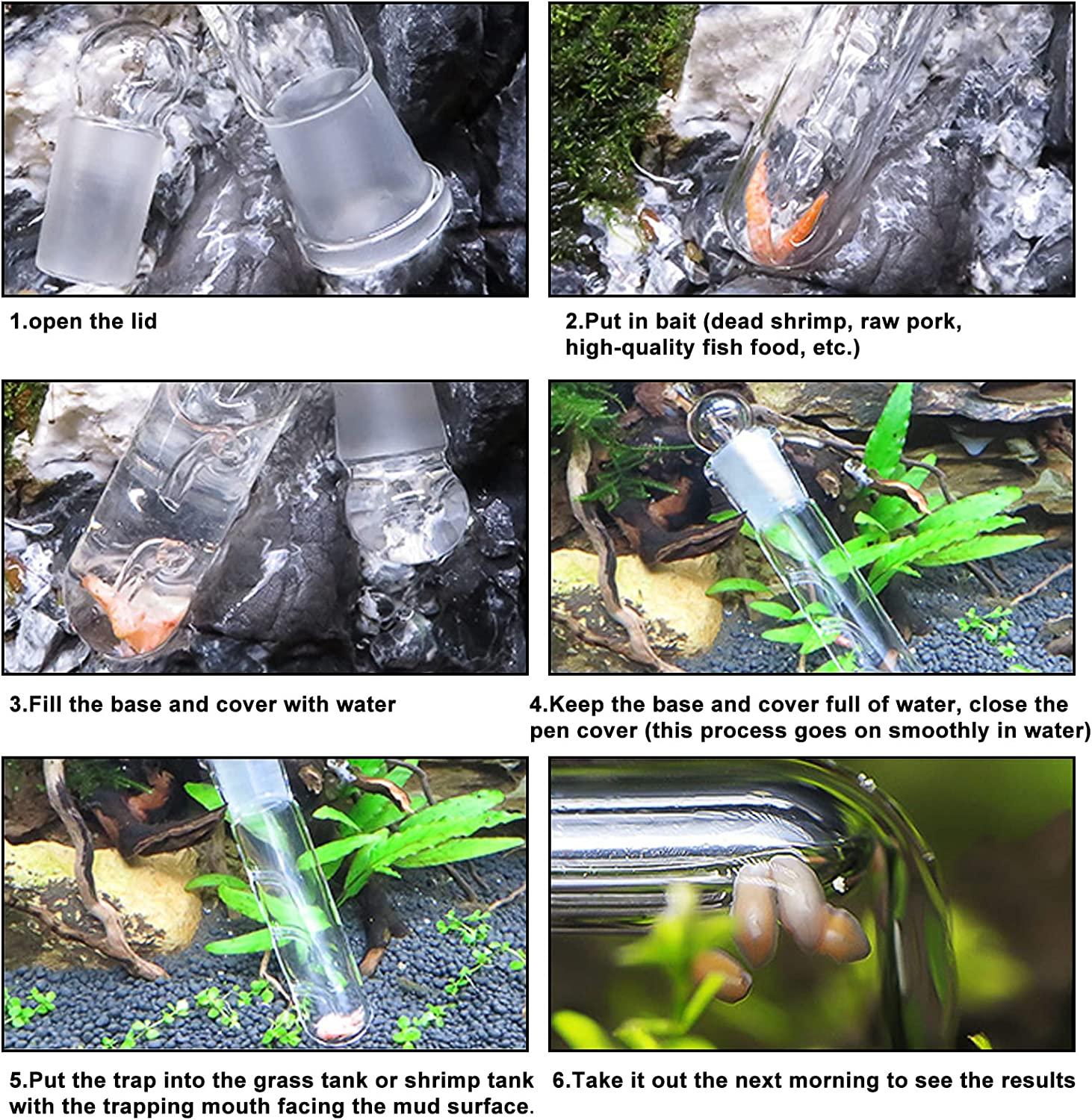 WEAVERBIRD Planaria Trap Catch Trap Leeches Catcher, Clear Glass Leech