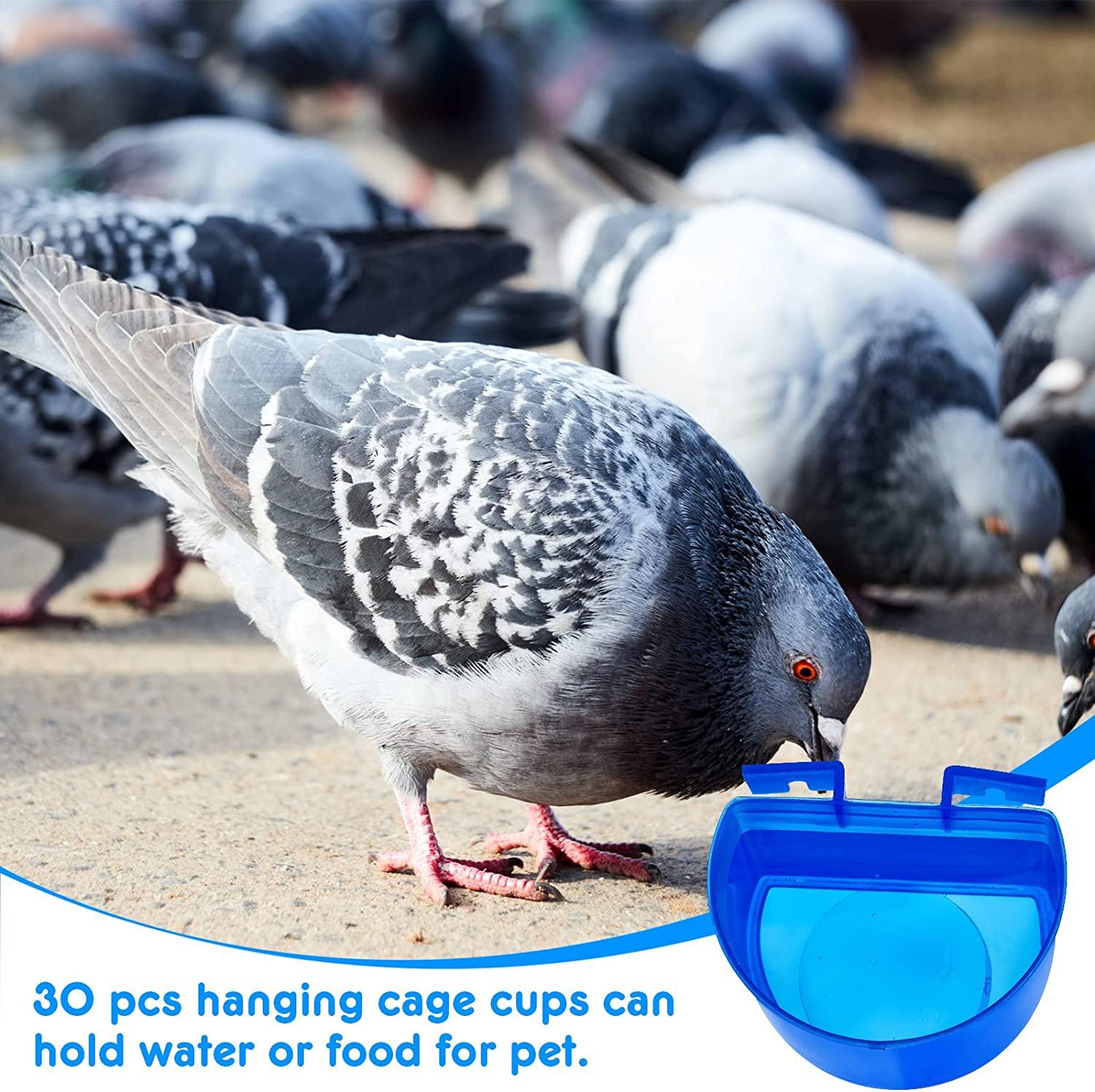 Bird cage cups hotsell