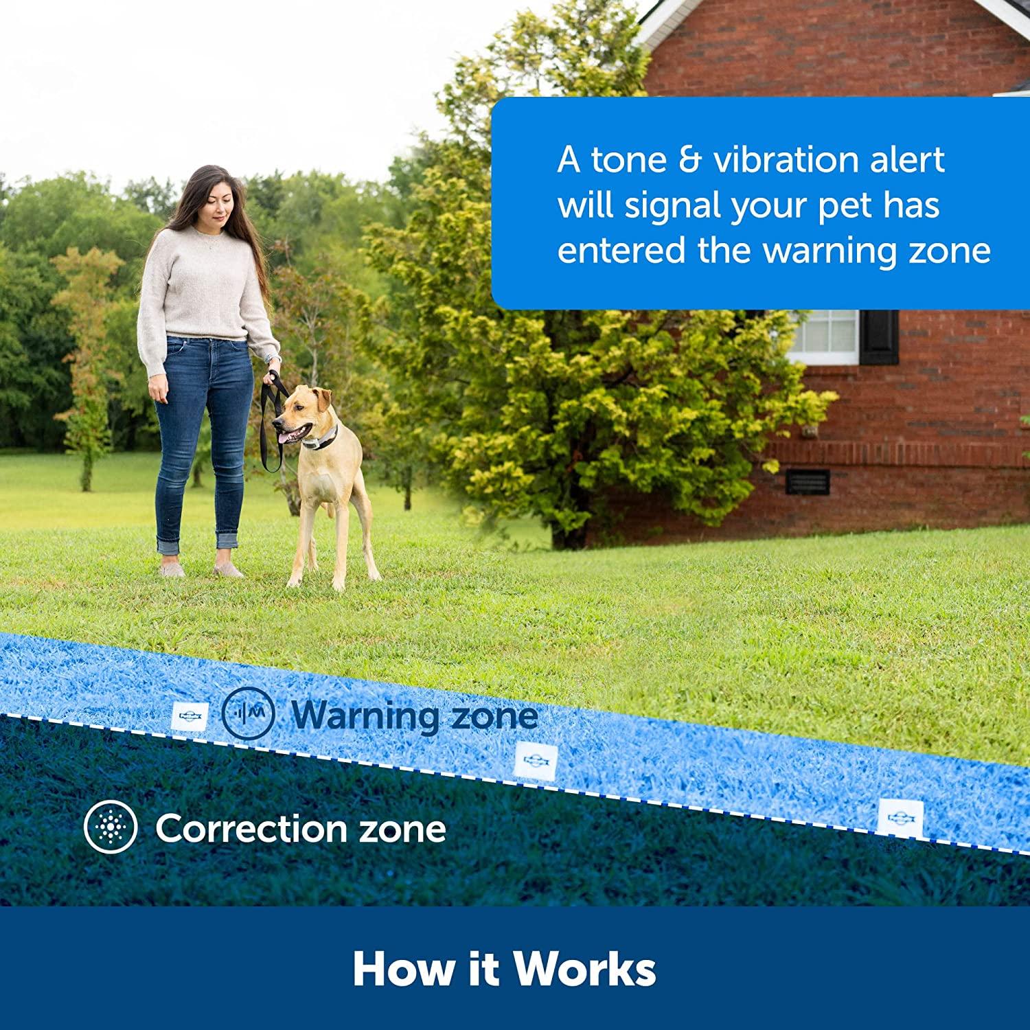 PetSafeClassic In Ground Fence for Dogs and Cats from The Parent