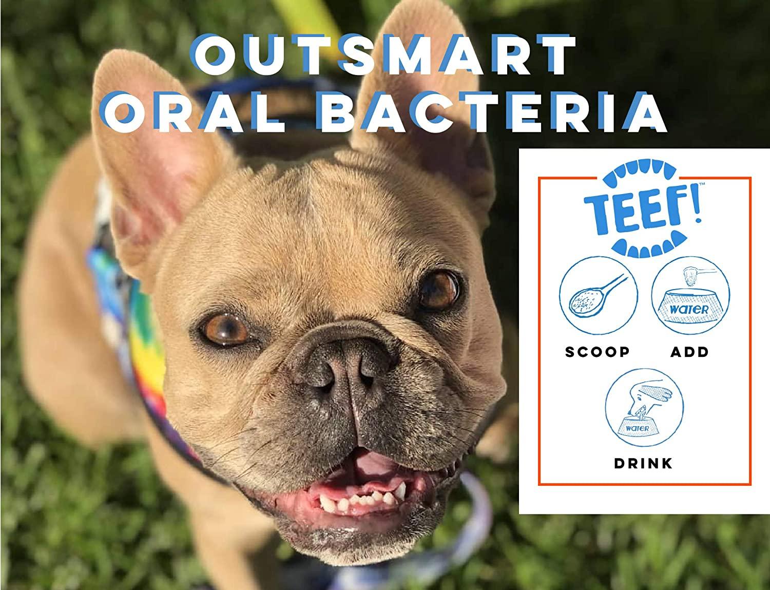 TEEF! Daily Dental Care Natural Dog Dental Water Additive Award