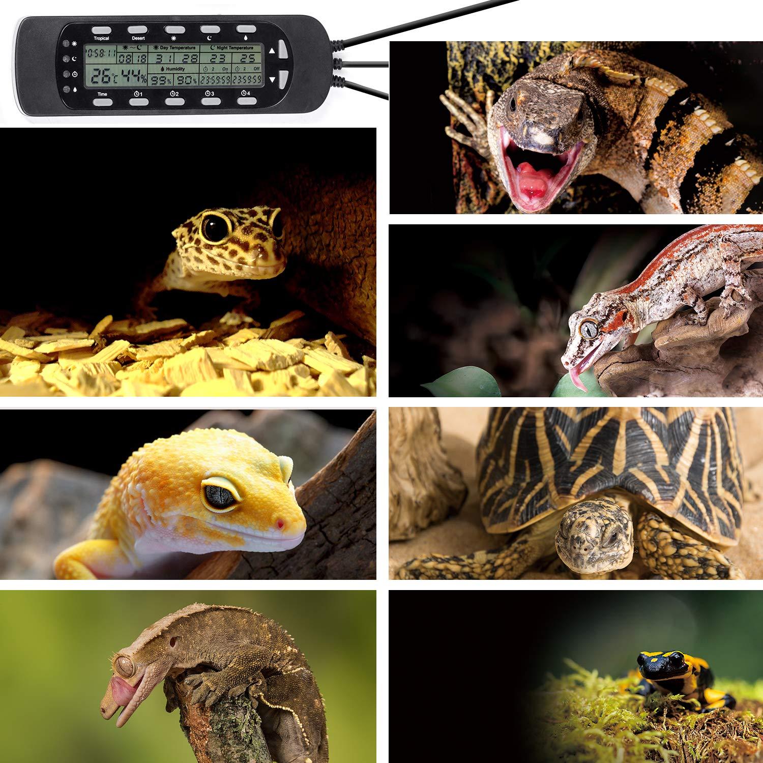 GXSTWU Reptile Hygrometer Thermometer LCD Display Digital Reptile