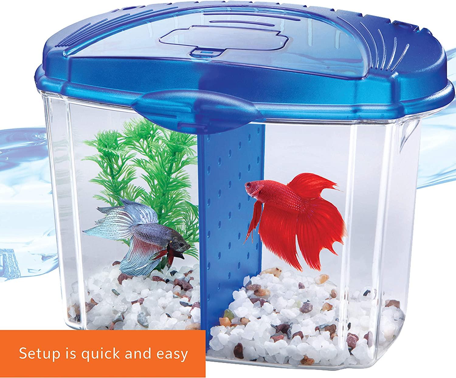 Betta Fish Speelgoed voor aquaria, interactieve zwemband met voerhulp, accessoires met zuignap, activiteitsspel voor vechtvissen, aquarium