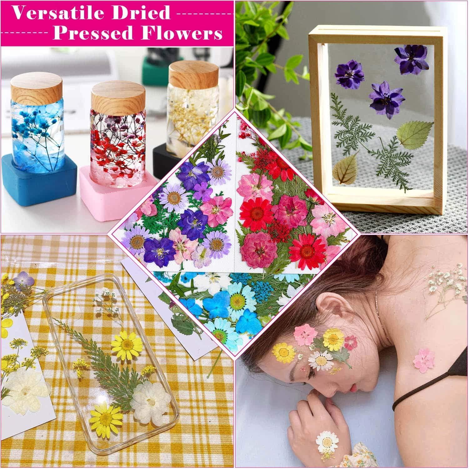 Thrilez 100Pcs Pressed Dried Flowers for Resin Molds Natural Dried