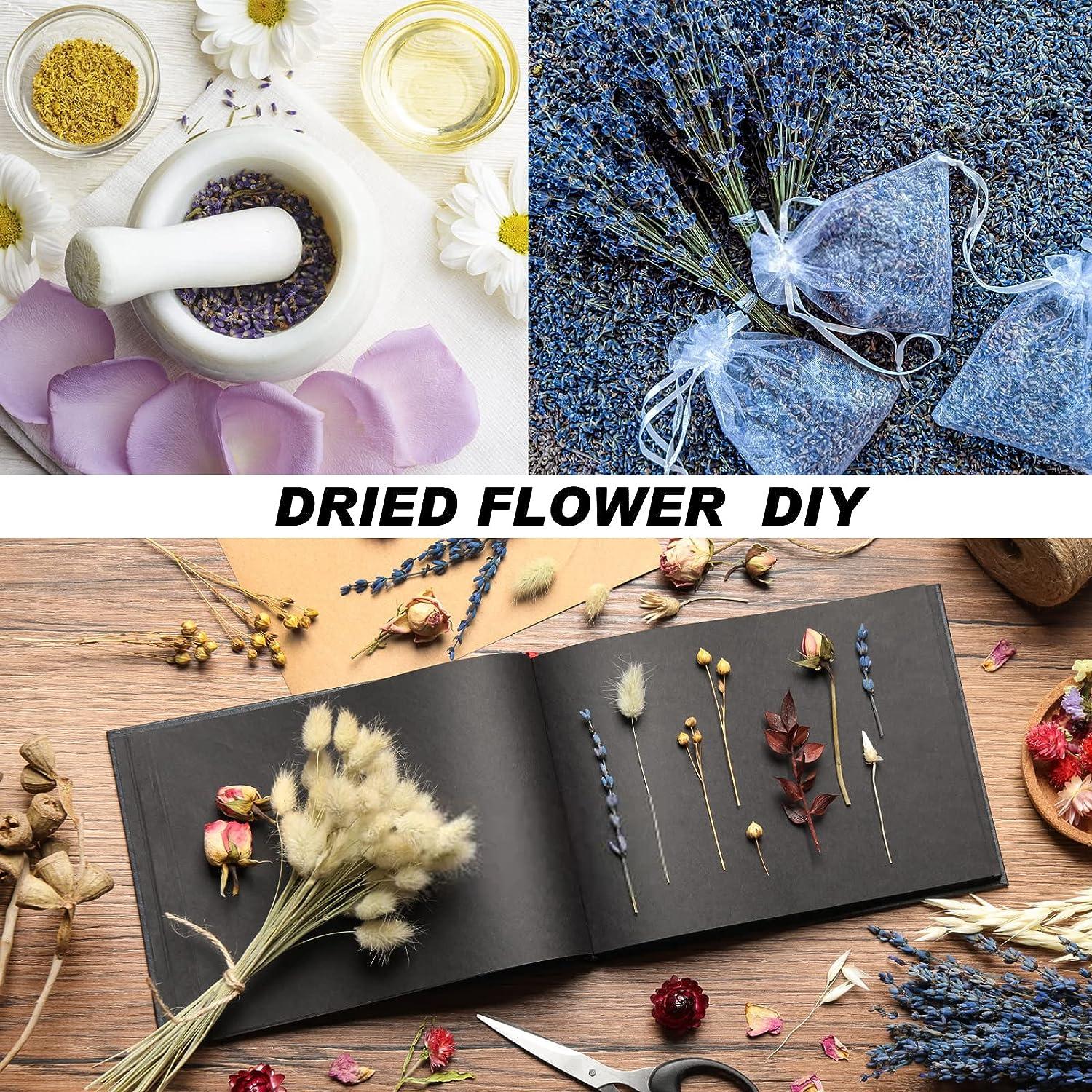  Natural Dried Flowers Herbs Kit (12 Bags), Bulk Dry for Soap  Making, DIY Candle, Resin Jewelry, Decor or Bath, Including Lavender, Rose  Petals, Jasmine, Rosebuds, Lily, Lemon and More, Multicolor