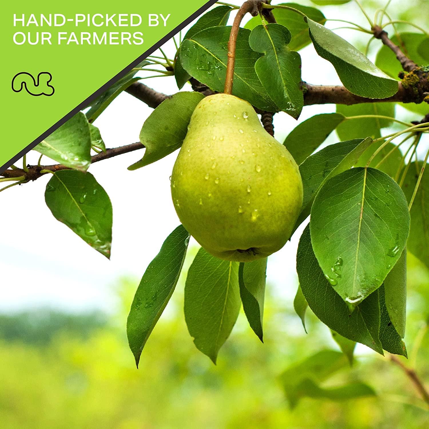 Sun Dried California Pears, No Sugar Added (16oz 1 LB) Packed Fresh