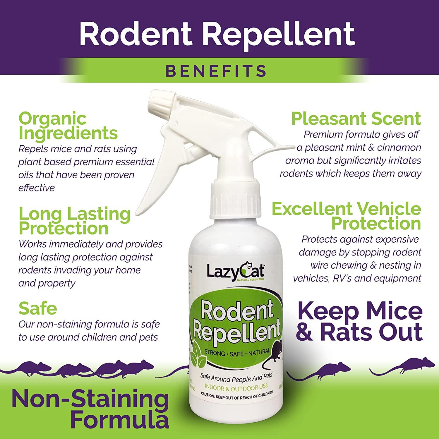 Homemade Rat Repellent Recipe My Bios