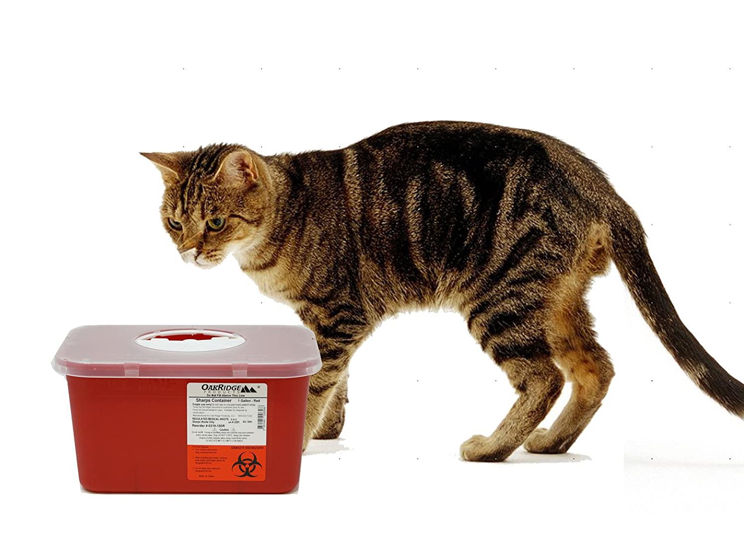 1 Gallon Size OakRidge Products Sharps Disposal Container Ideal for