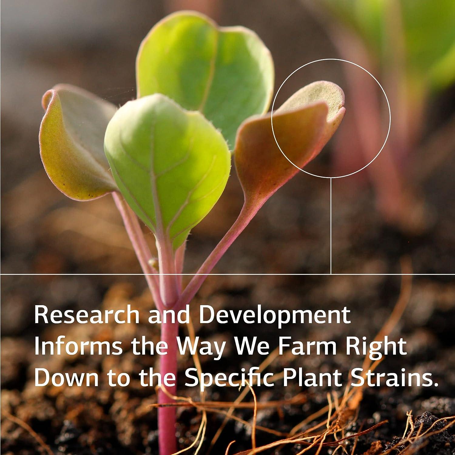 Standard Process GastroFiber Whole Food Digestion and Digestive Health Indigestion and Cramps