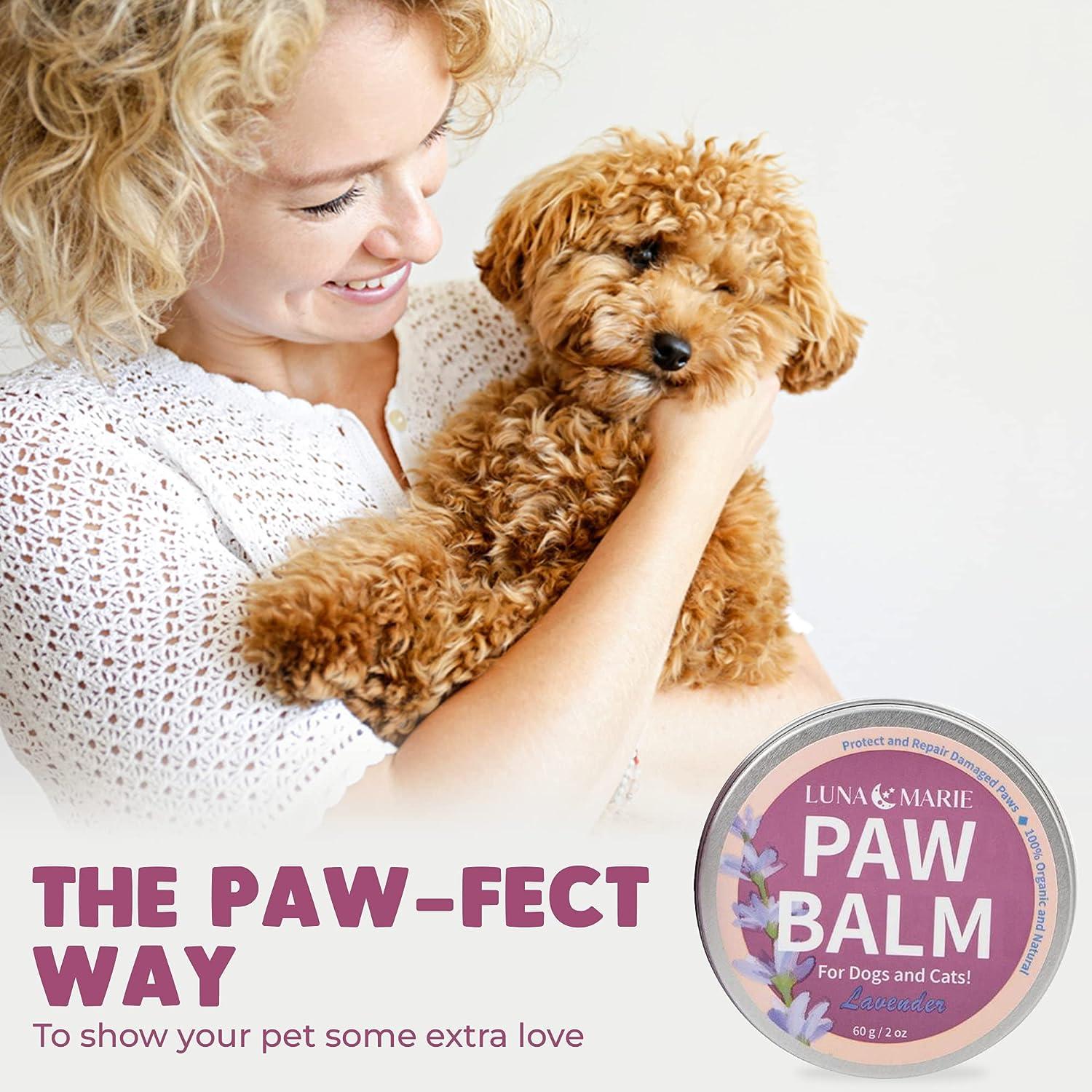 Coconut Oil On Dog Paw Pads Lunamarie Paw Balm: Organic Soother for Cracked Paws & Itchy Noses