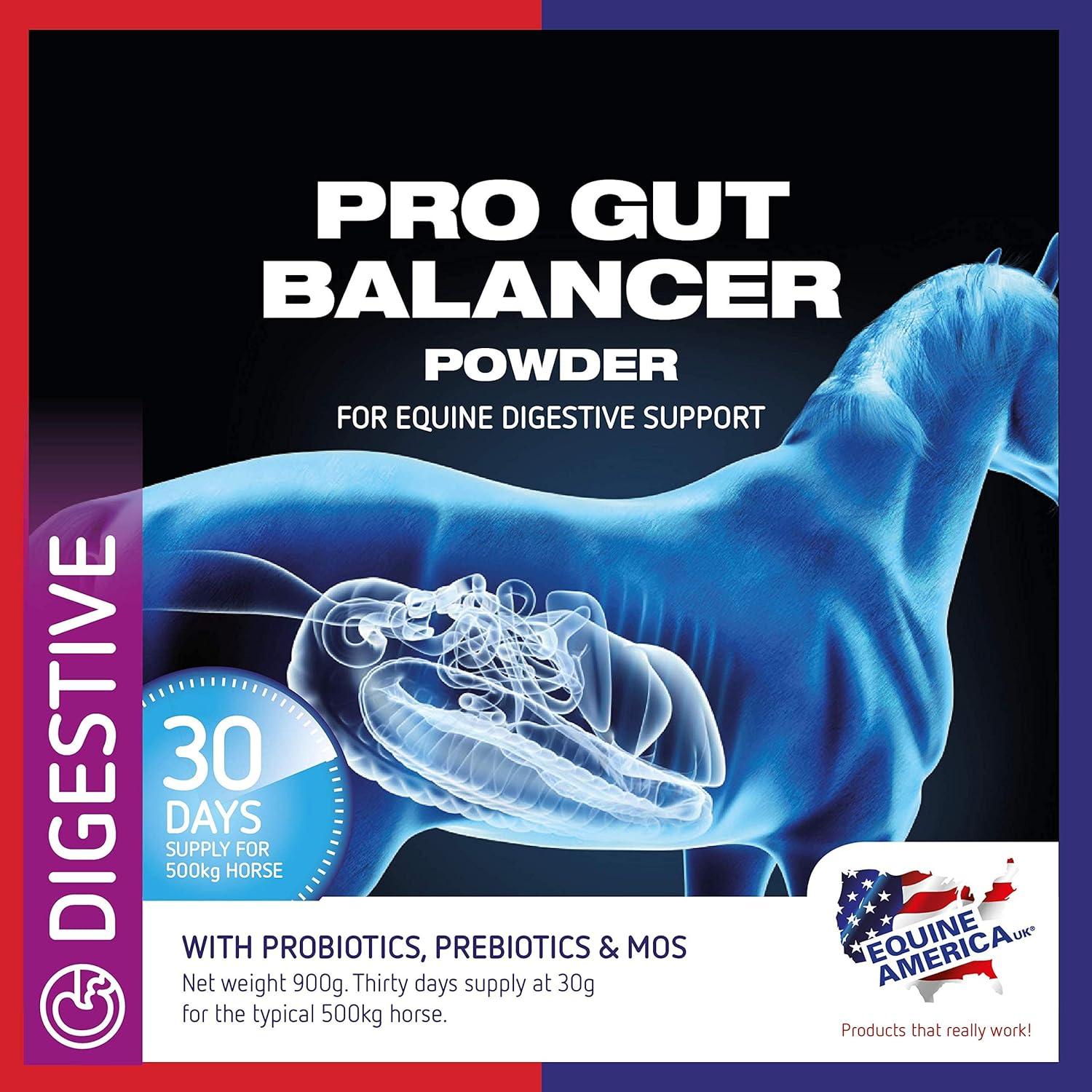 Pro Gut Balancer – Equine America EU