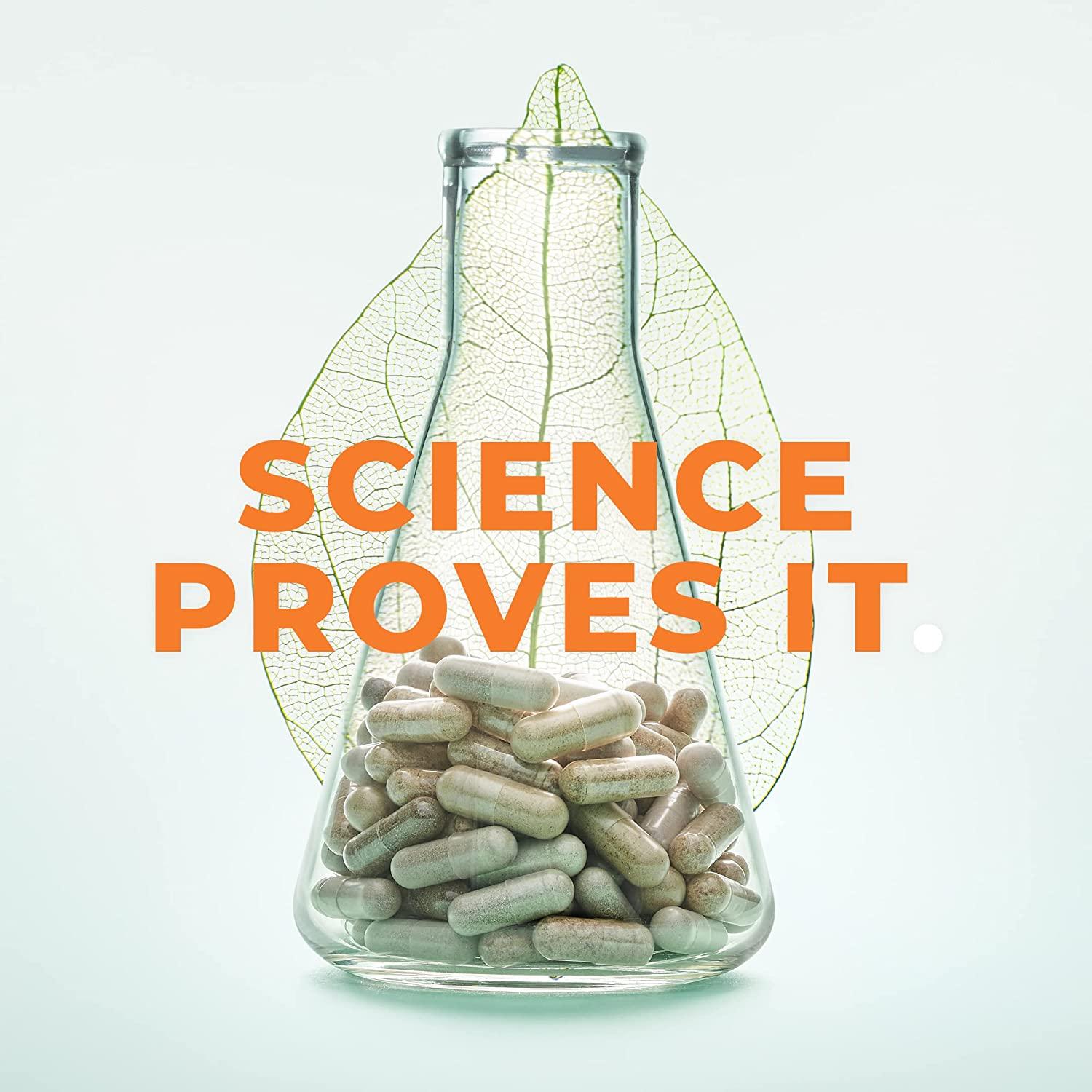 LifeSeasons BreatheX Allergy & Sinus Support 15 Vegicaps