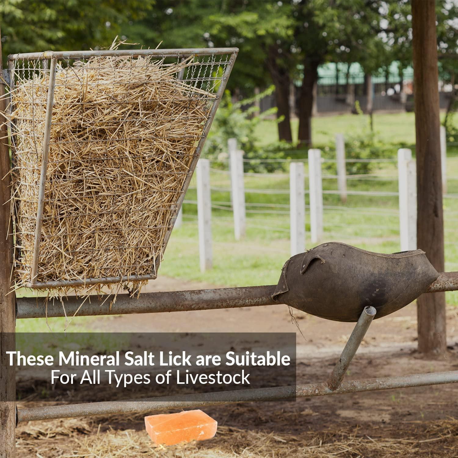 Himalayan Nature Licking Salt for Horse 2 Pack, Pink Pack of 2