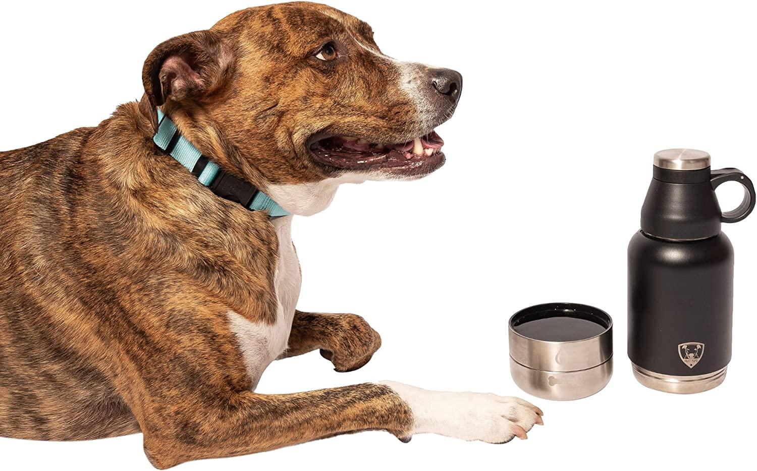 Dog water bottle with bowl best sale attached