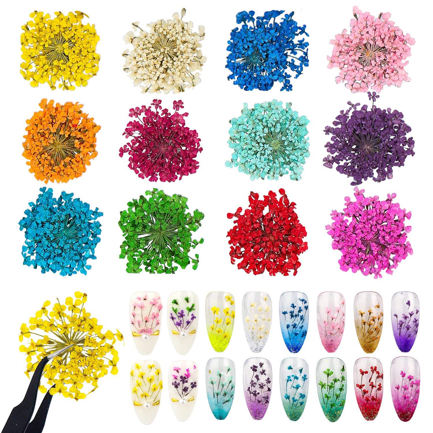 Warmfits Dried Flowers for Nails 120pcs/set 3D Real Encapsulated