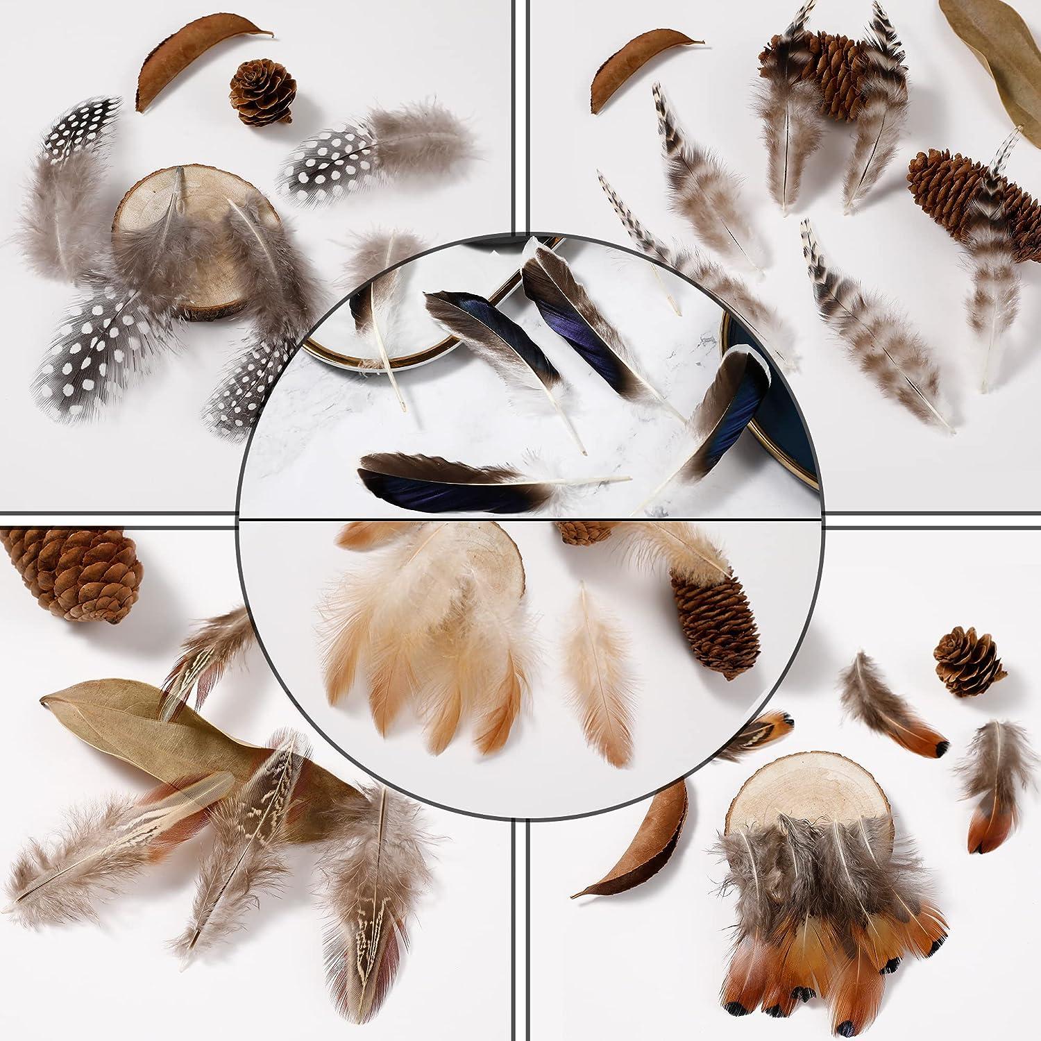 Wholesale 8-13Cm Rooster Feathers DIY Dream Catcher Plumas In Hair  Decorative Fly Tying Material Juju Hats Plumes Fabric Crafts