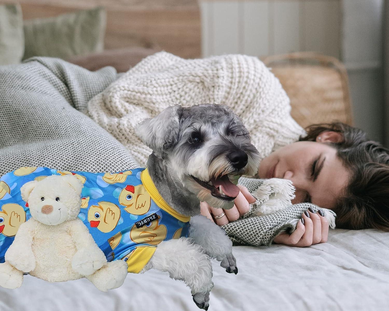 Birdog pajamas setup / バードッグパジャマセットアップ Duck Duck Dog Long Sleeve Pajama Set (2T-12Y) | Free Birdees