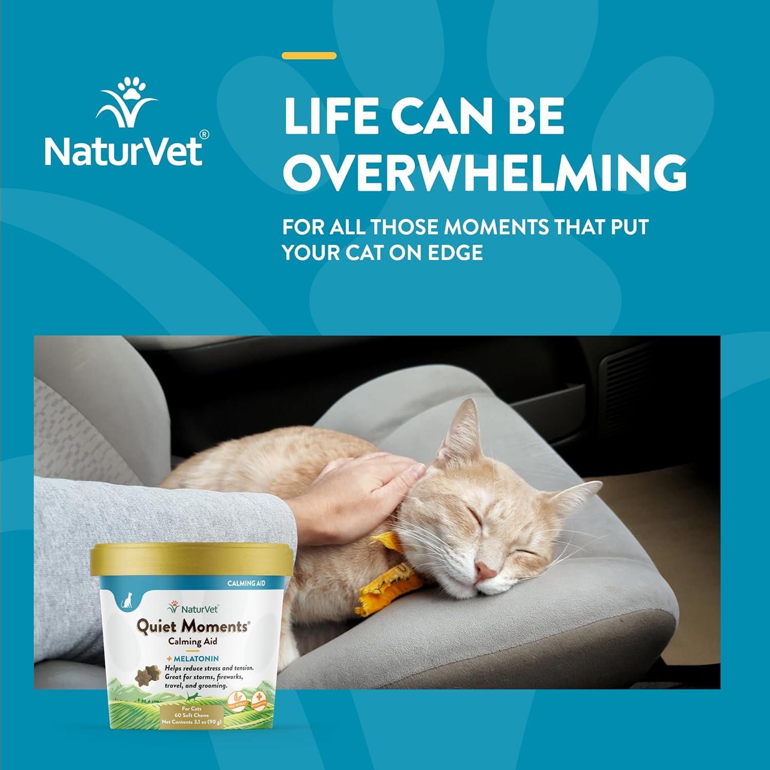 Calming cats top for travel