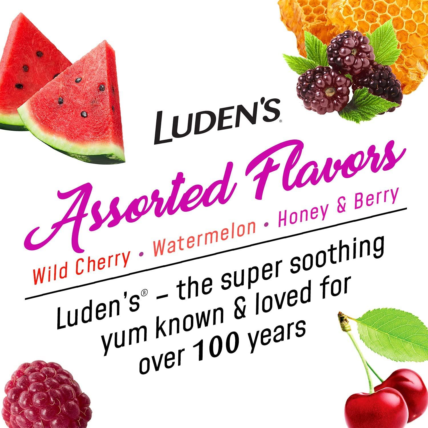 Luden's Pectin Lozenge/Oral Demulcent Assorted Flavors 90