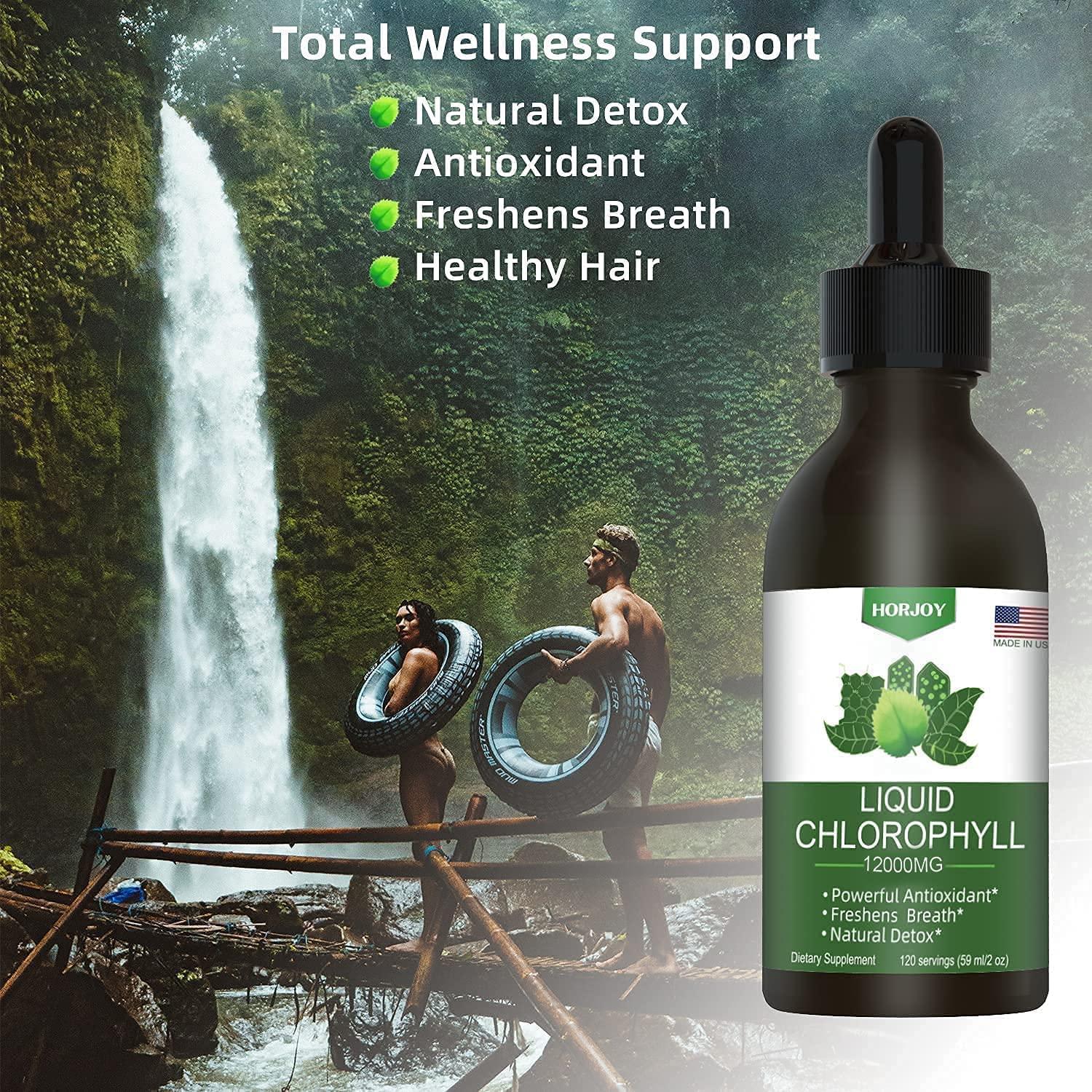 Chlorophyll Liquid Drops 100 Natural Energy Booster and Immune