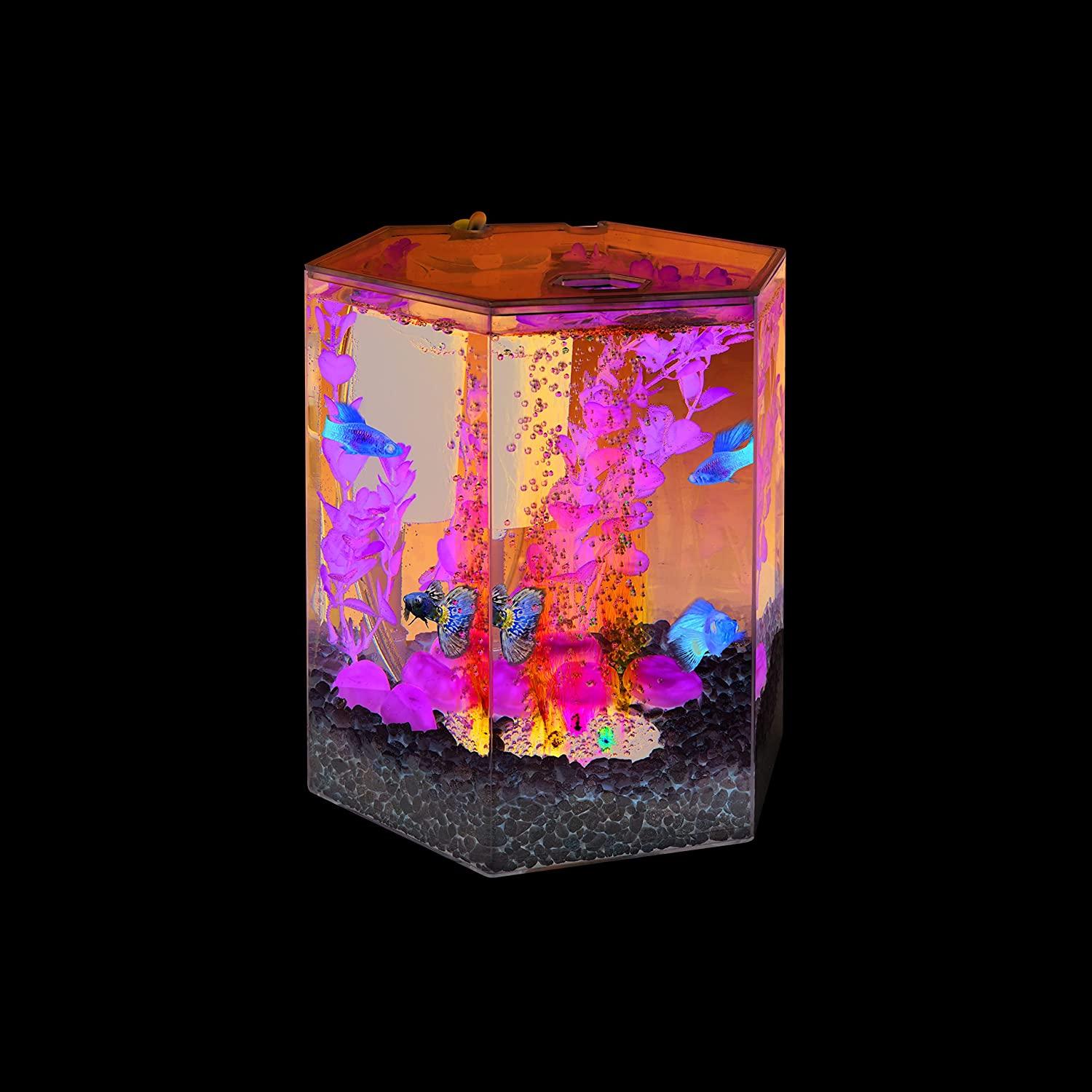 Tetra Bubbling LED Aquarium Kit 1 Gallon, Hexagon Shape, With Color