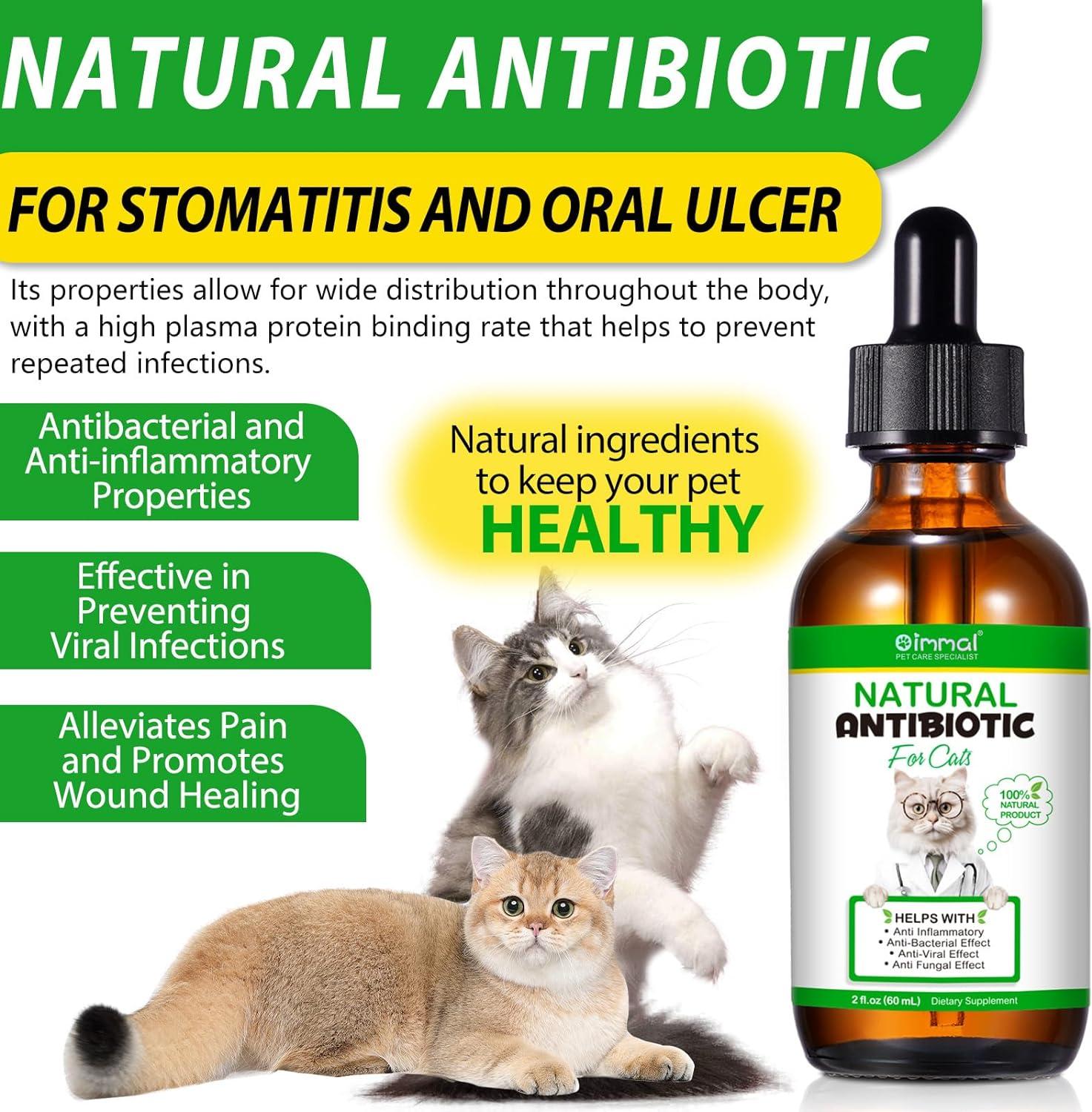 Cat Antibiotics 60ml Natural Antibiotics for Cats Supports Immune