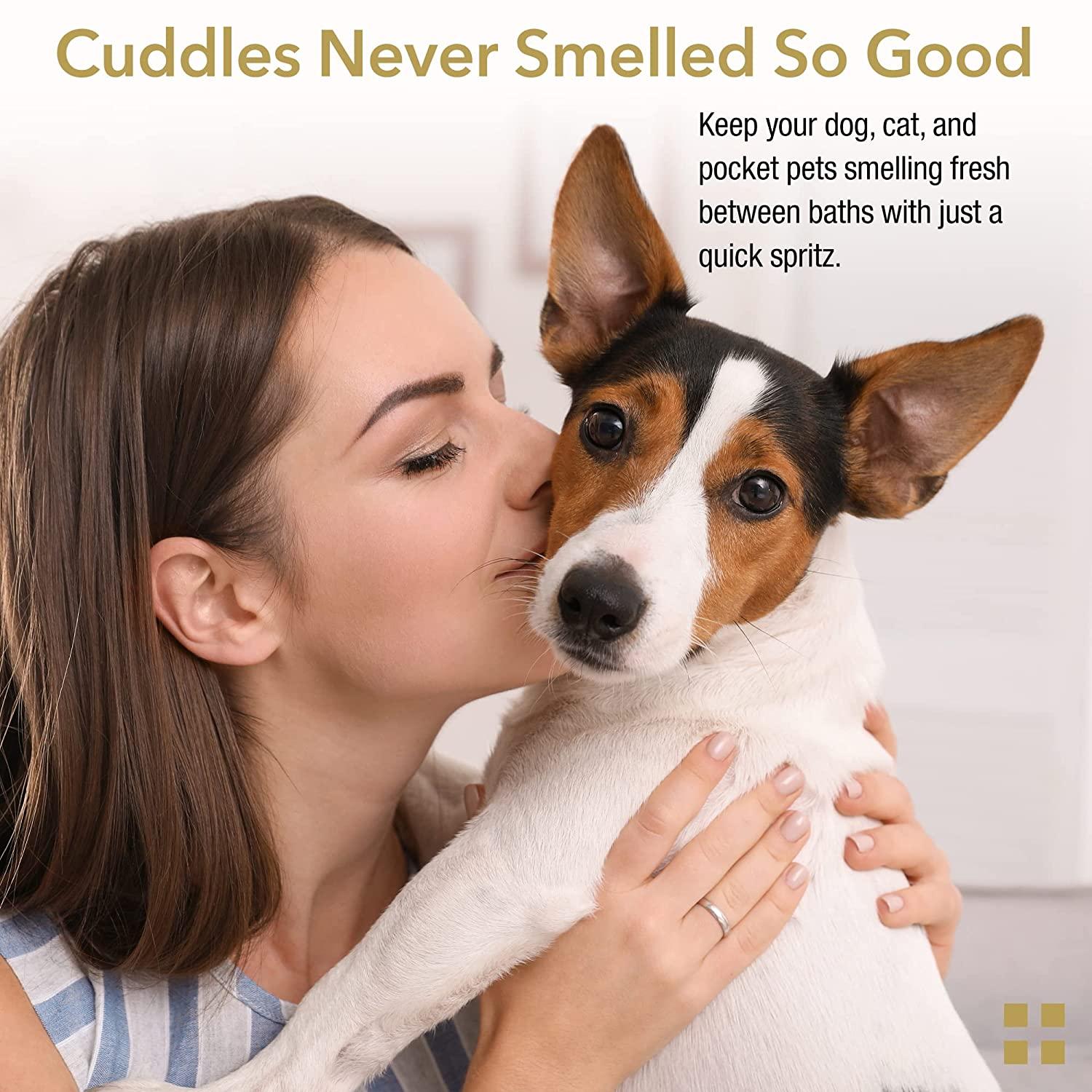 How To Keep My Dog From Smelling In Between Baths