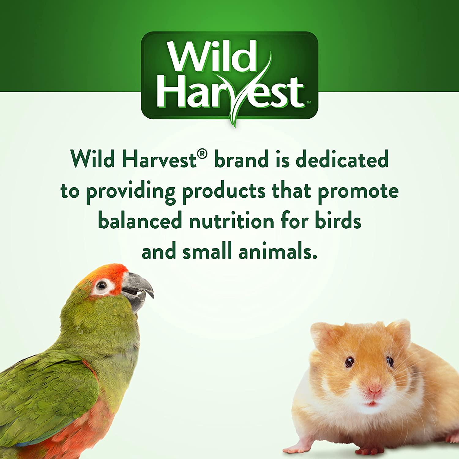 Wild harvest best sale daily blend hamster