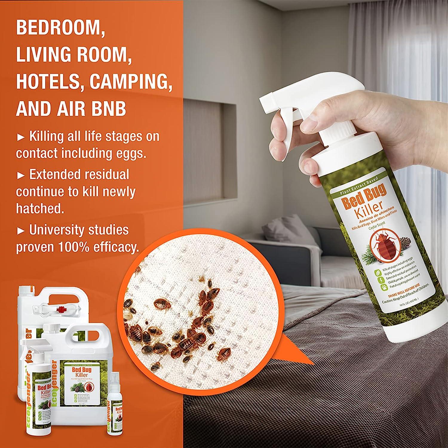 Cat safe outlet bug spray