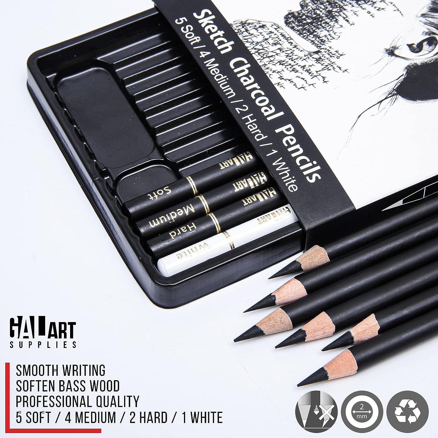 Galart Supplies Charcoal Drawing Set 12 Pieces Pre-Sharped Soft Medium Hard  and White Charcoal Pencils for Drawing with Organizer Tray Shading and  Sketching for Artists and Beginners