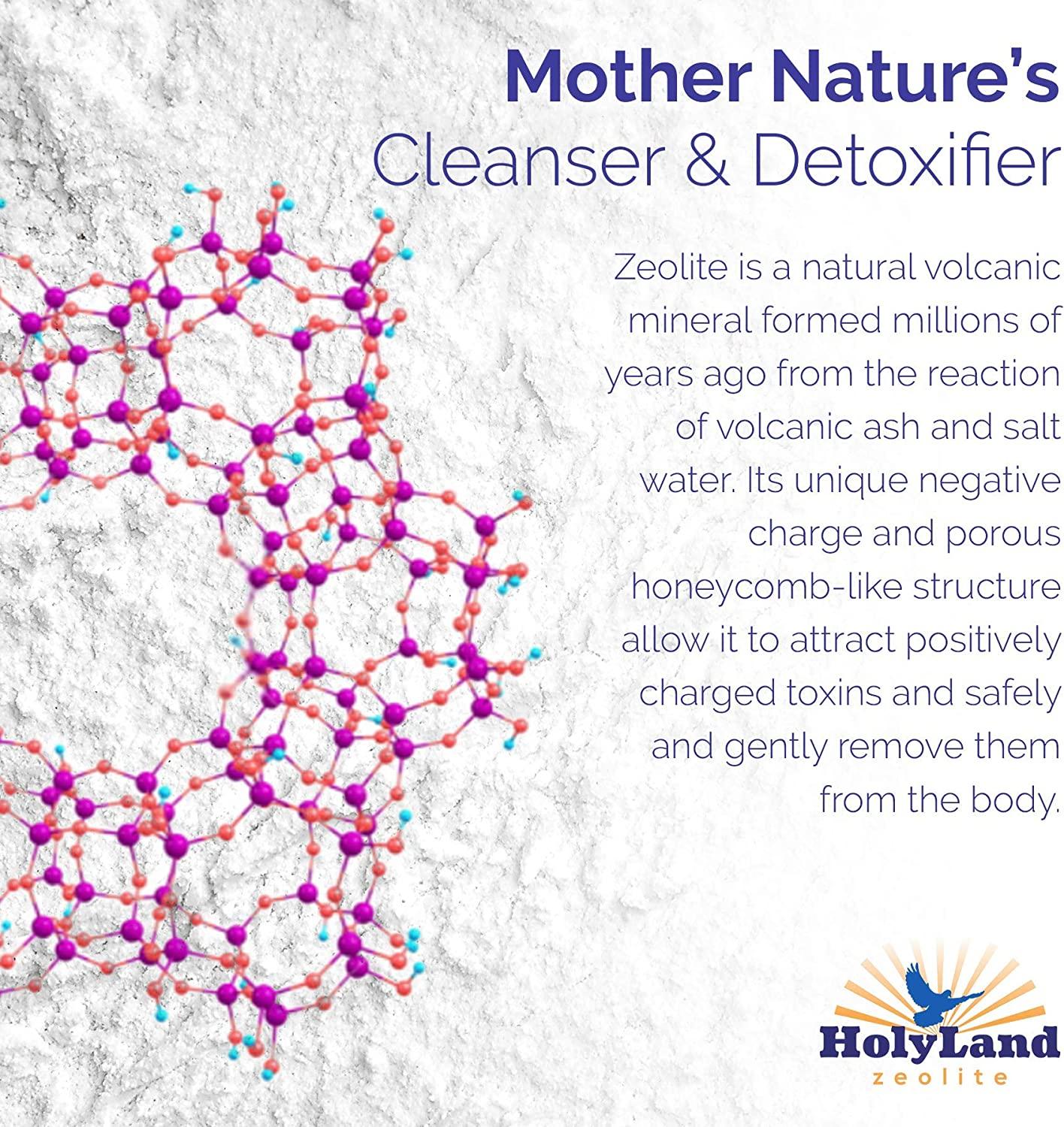 HolyLand Zeolite Cleanse Detox Powder for Energy, Mental Focus