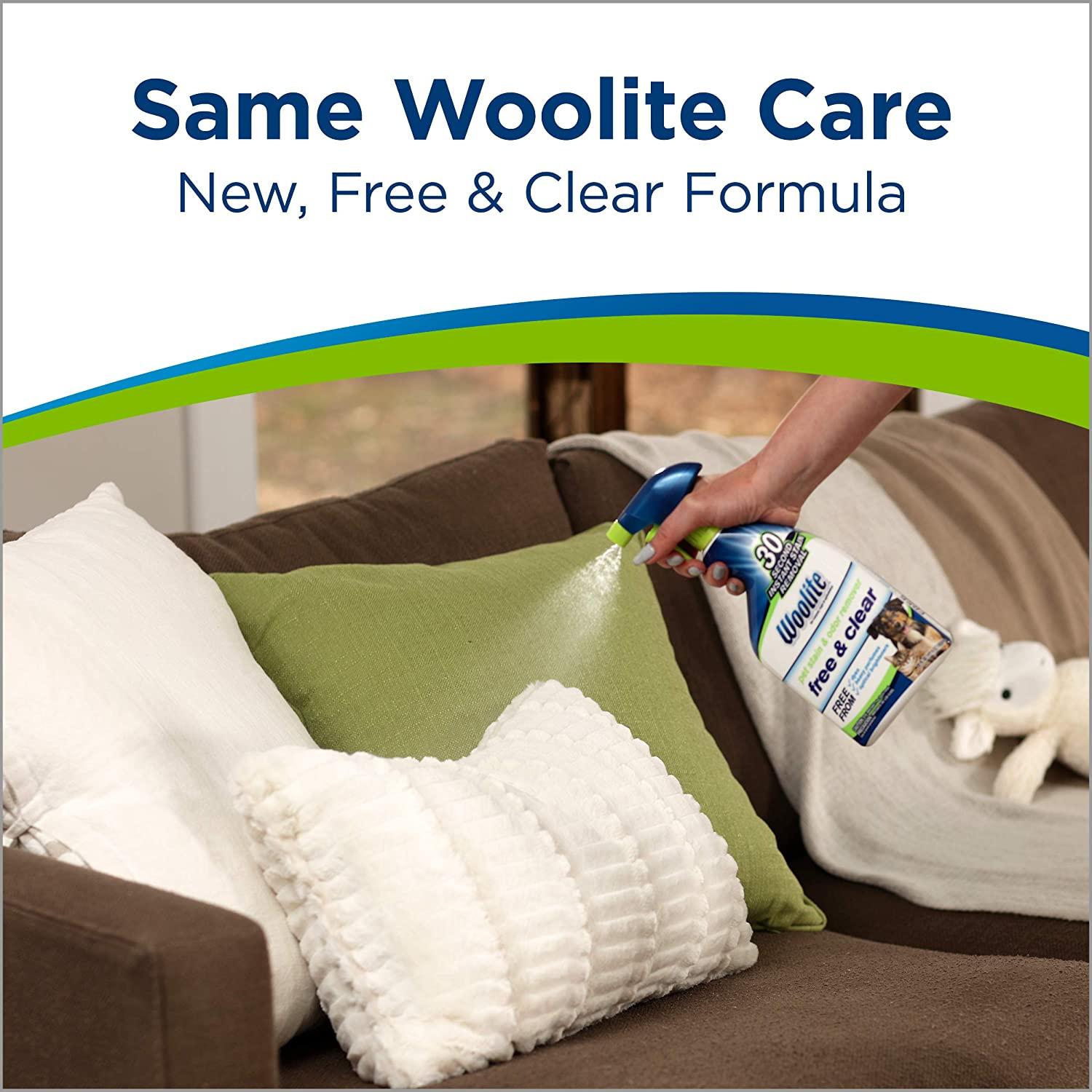 Woolite Carpet Cleaner Pet Stain & Odor 22 oz.