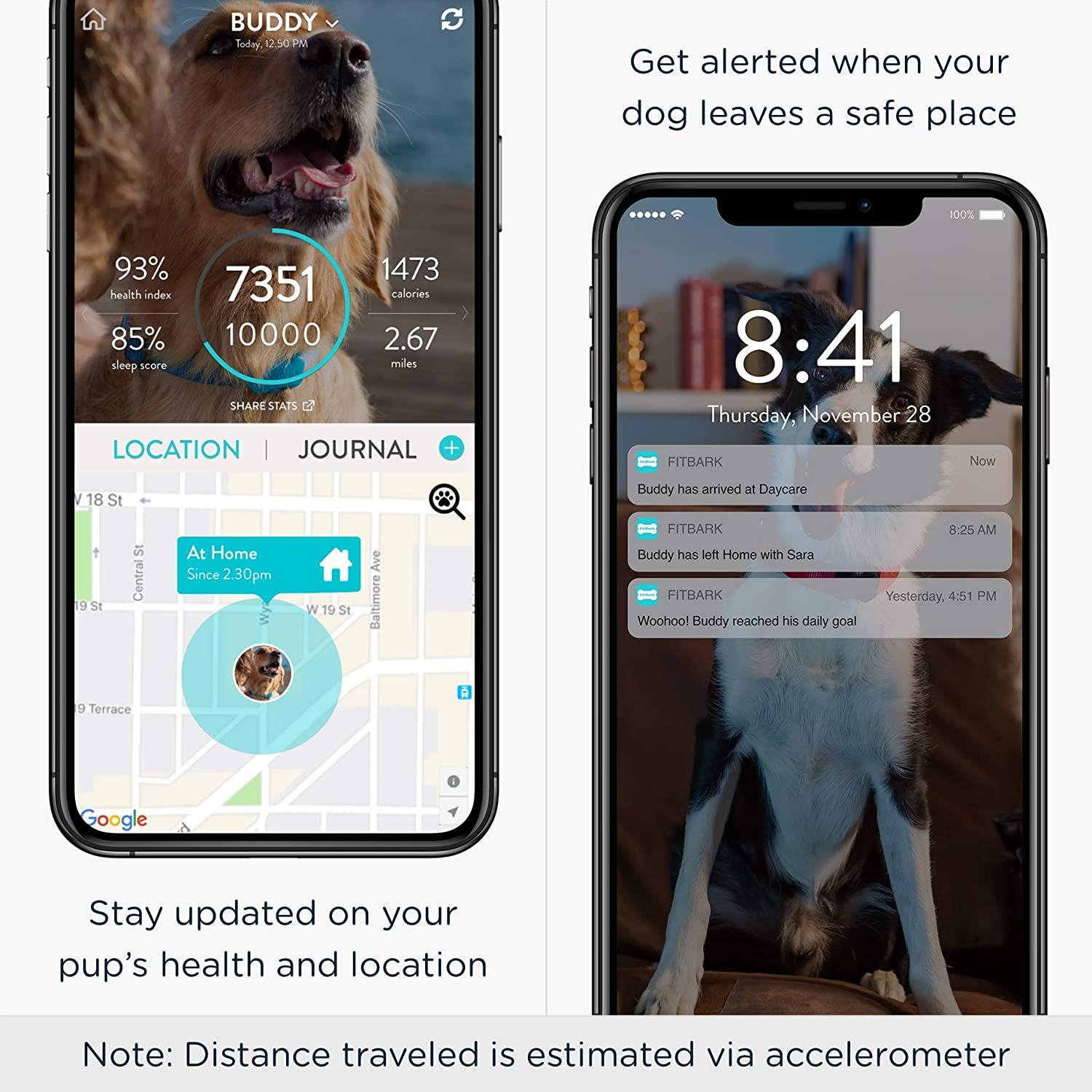 FitBark GPS Dog Tracker 1st Gen (2019) Previous Generation Best