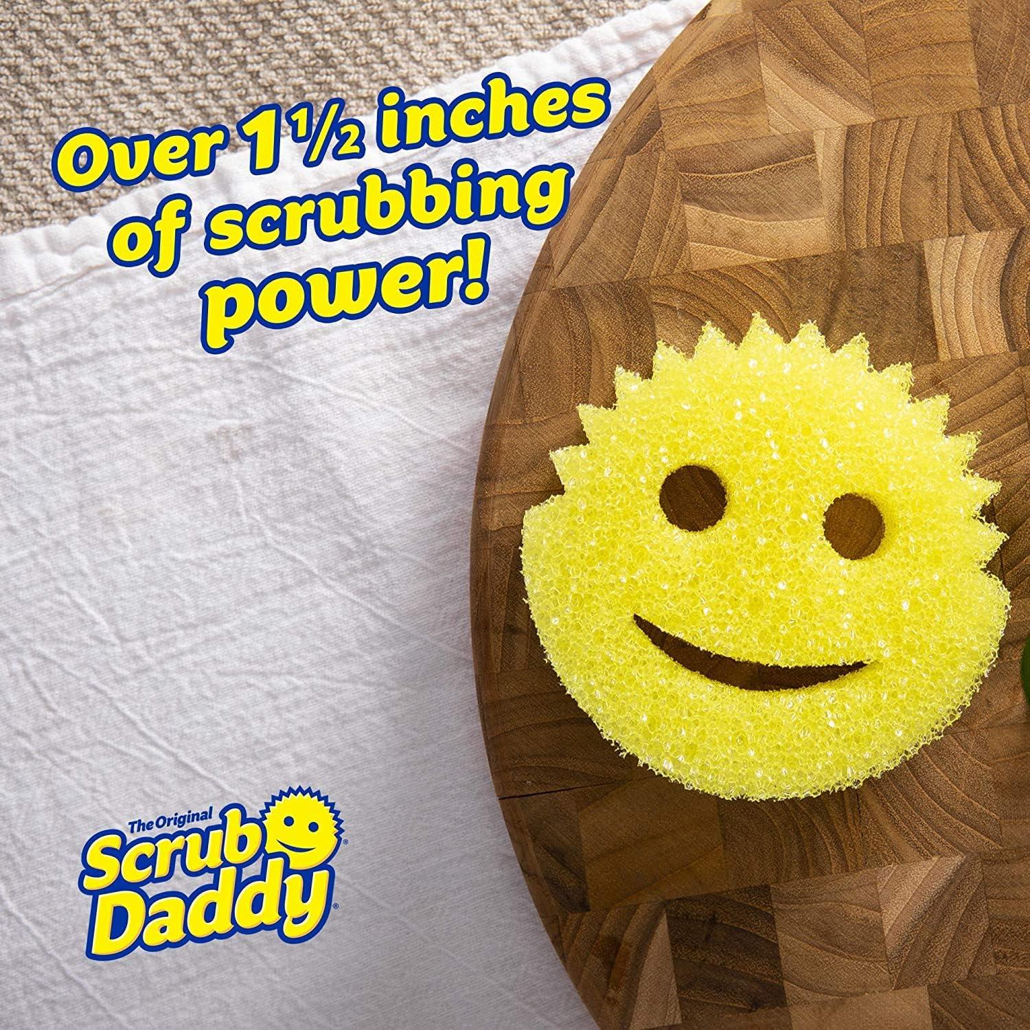  Scrub Daddy Smiling Scrubber, Grey - Scratch-Free Multipurpose Dish  Sponge - BPA Free & Made with Polymer Foam - Stain & Odor Resistant Kitchen  Sponge (1 Count) : Health & Household