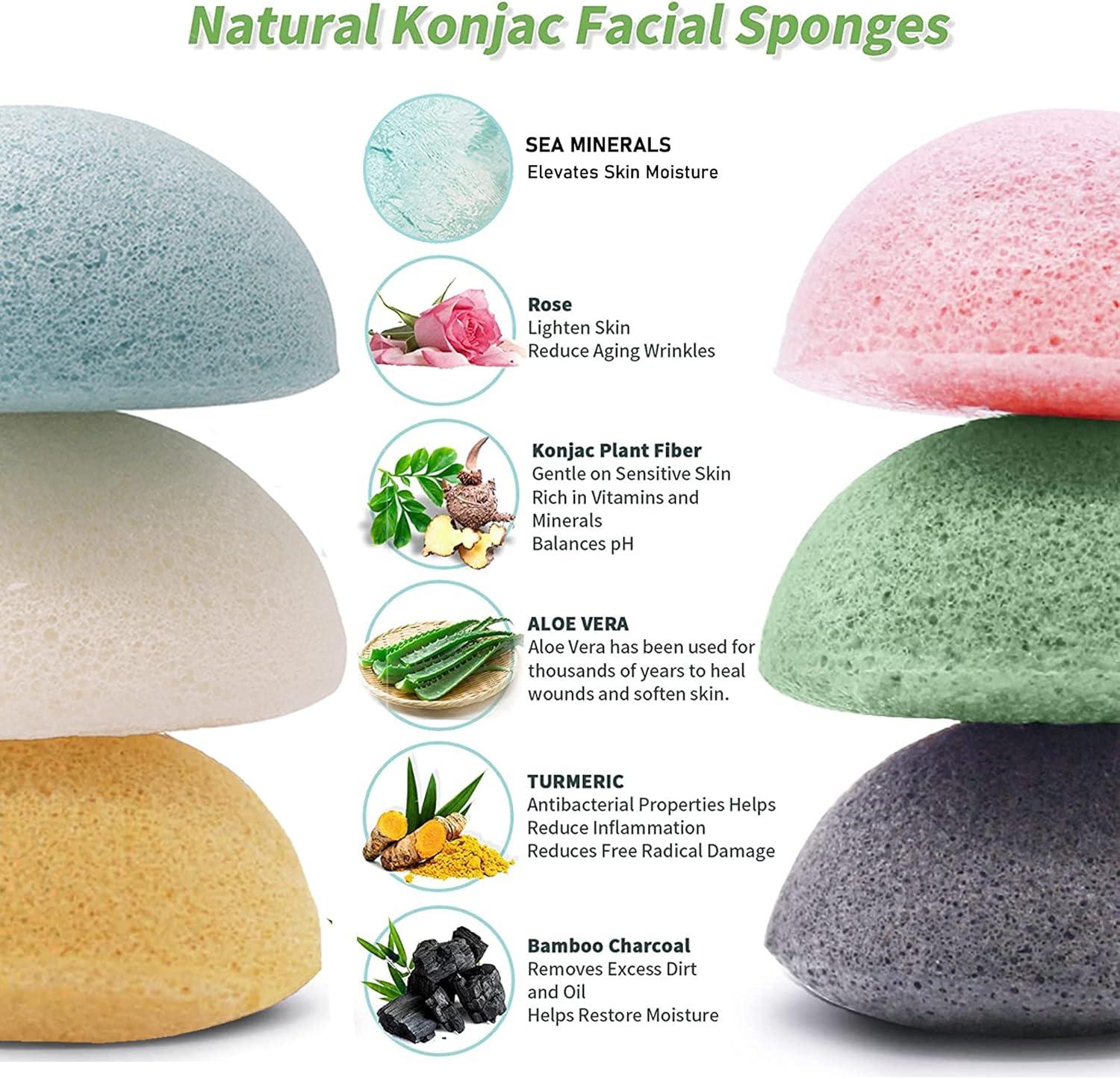 Of Course Konjac Sponge 6-Pack Facial Cleansing & Peeling Sponges with ...