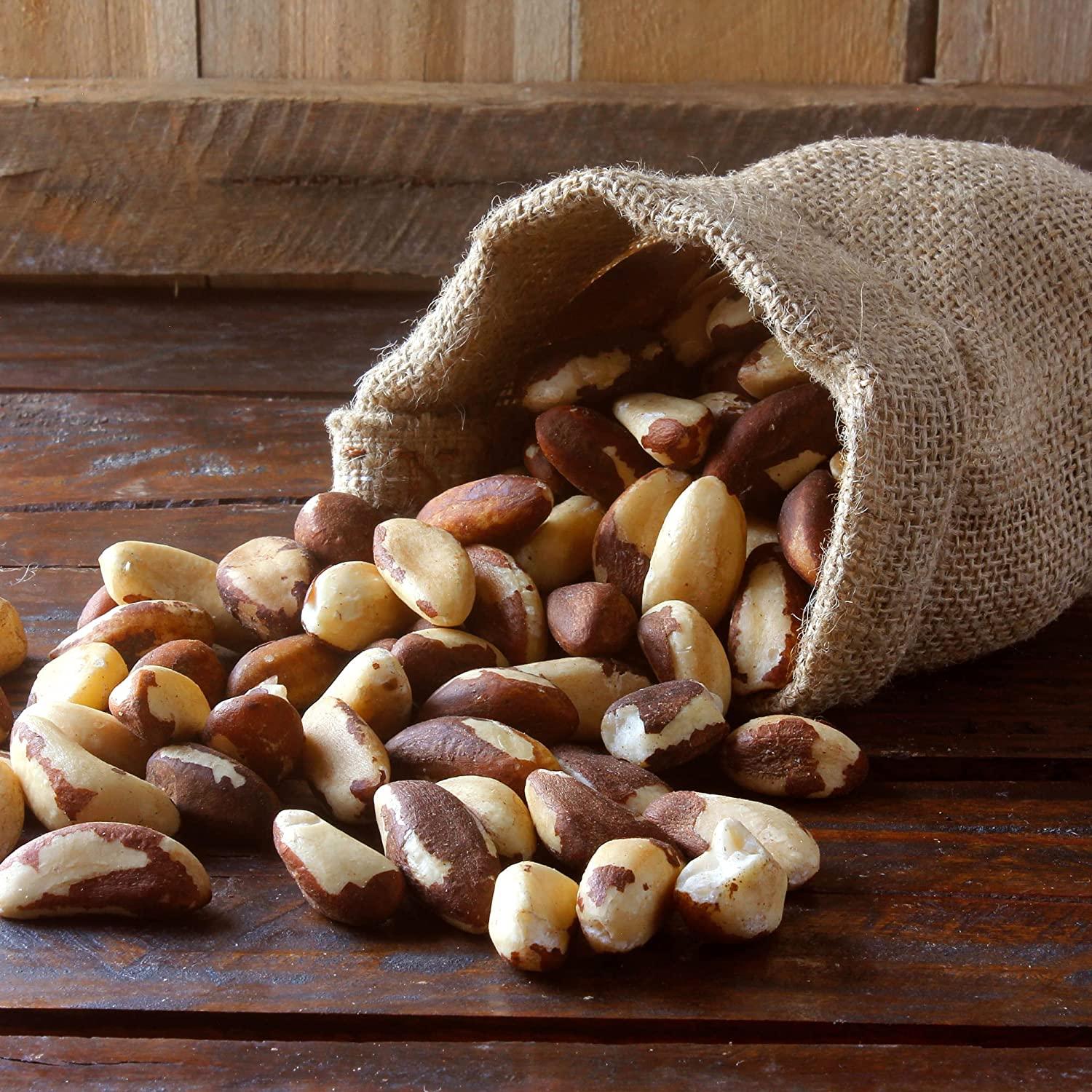 The Amish EcoFarm Medium Brazil Nuts 2 Lbs Raw, Fresh, Vegan & Keto