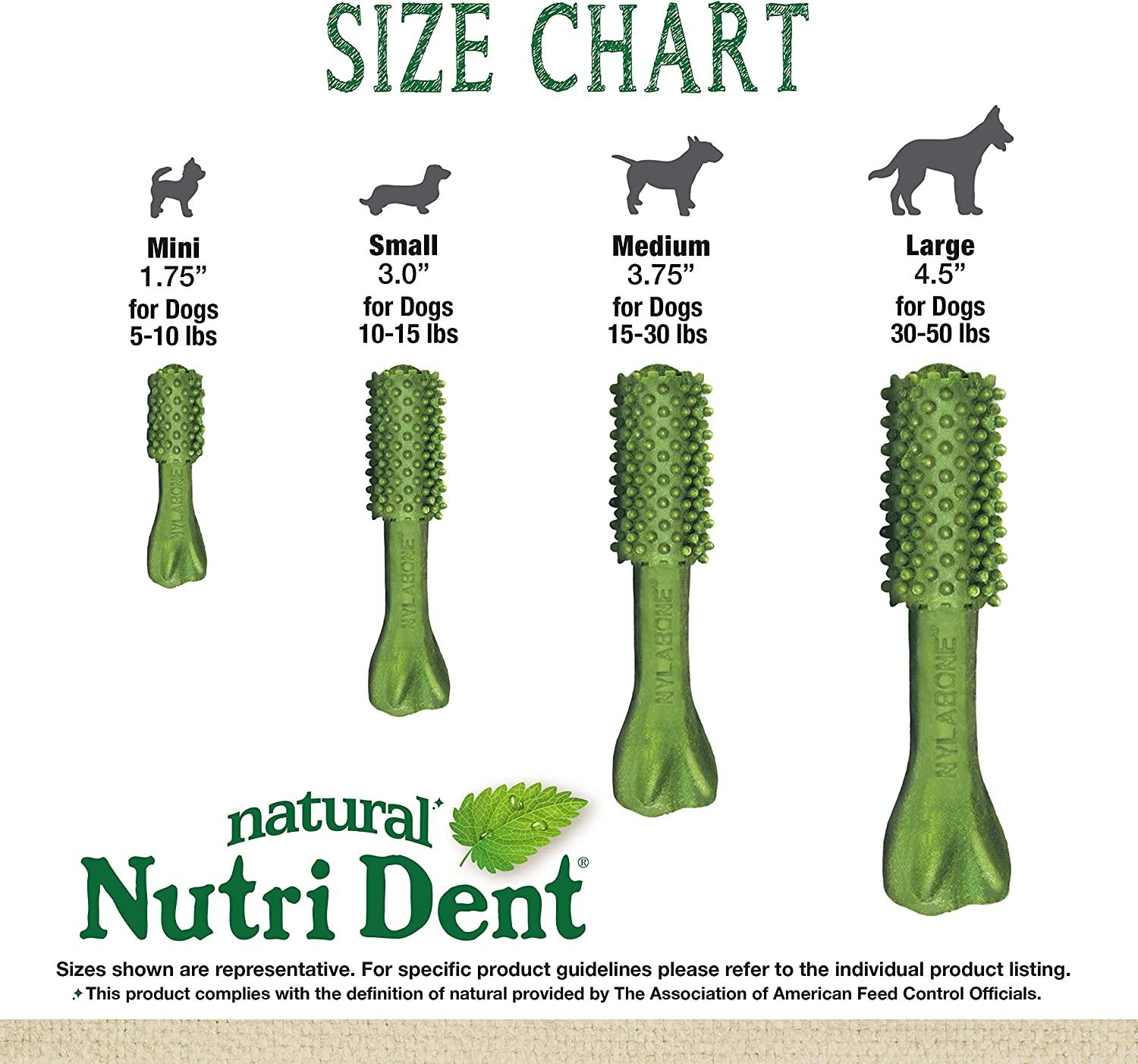Nylabone nutri dent discount