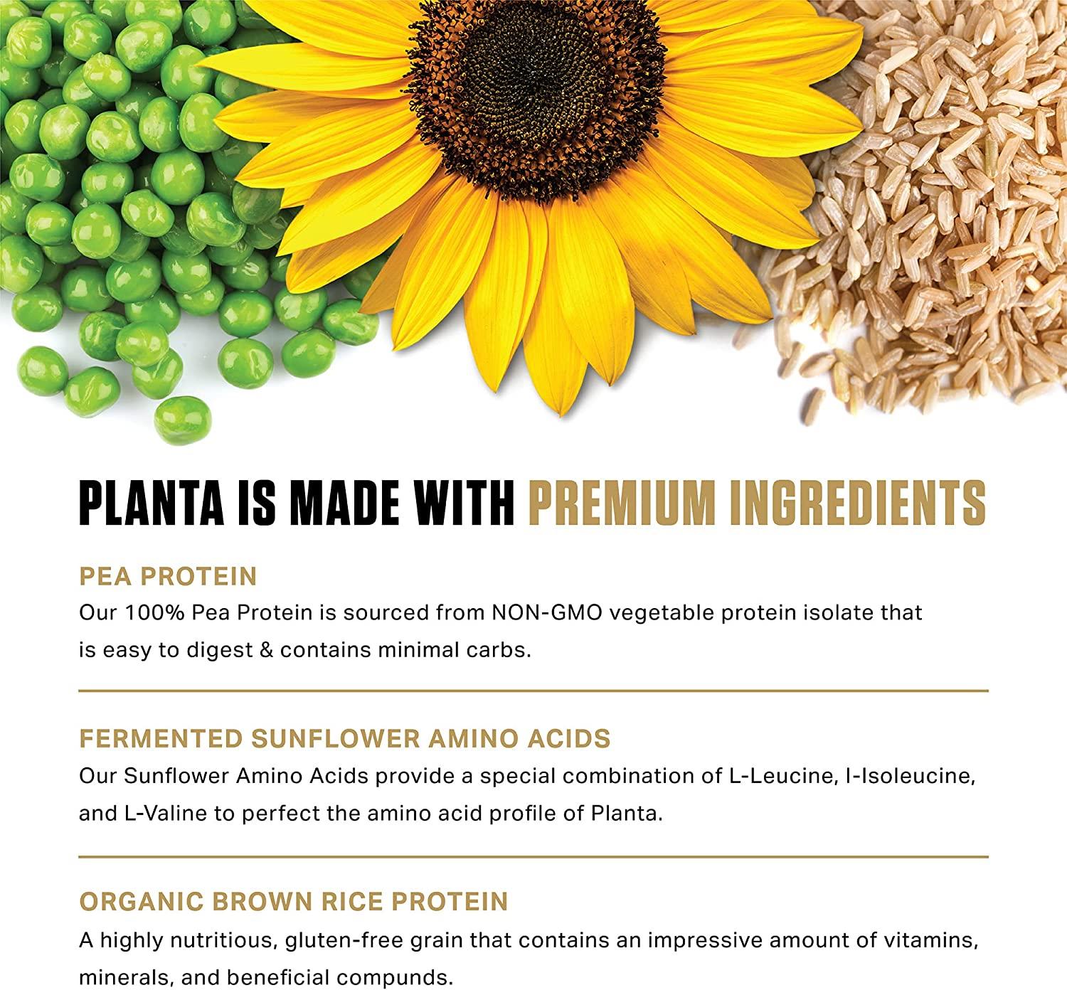 Ambrosia Planta Premium Organic PlantBased Protein Vegan & Keto