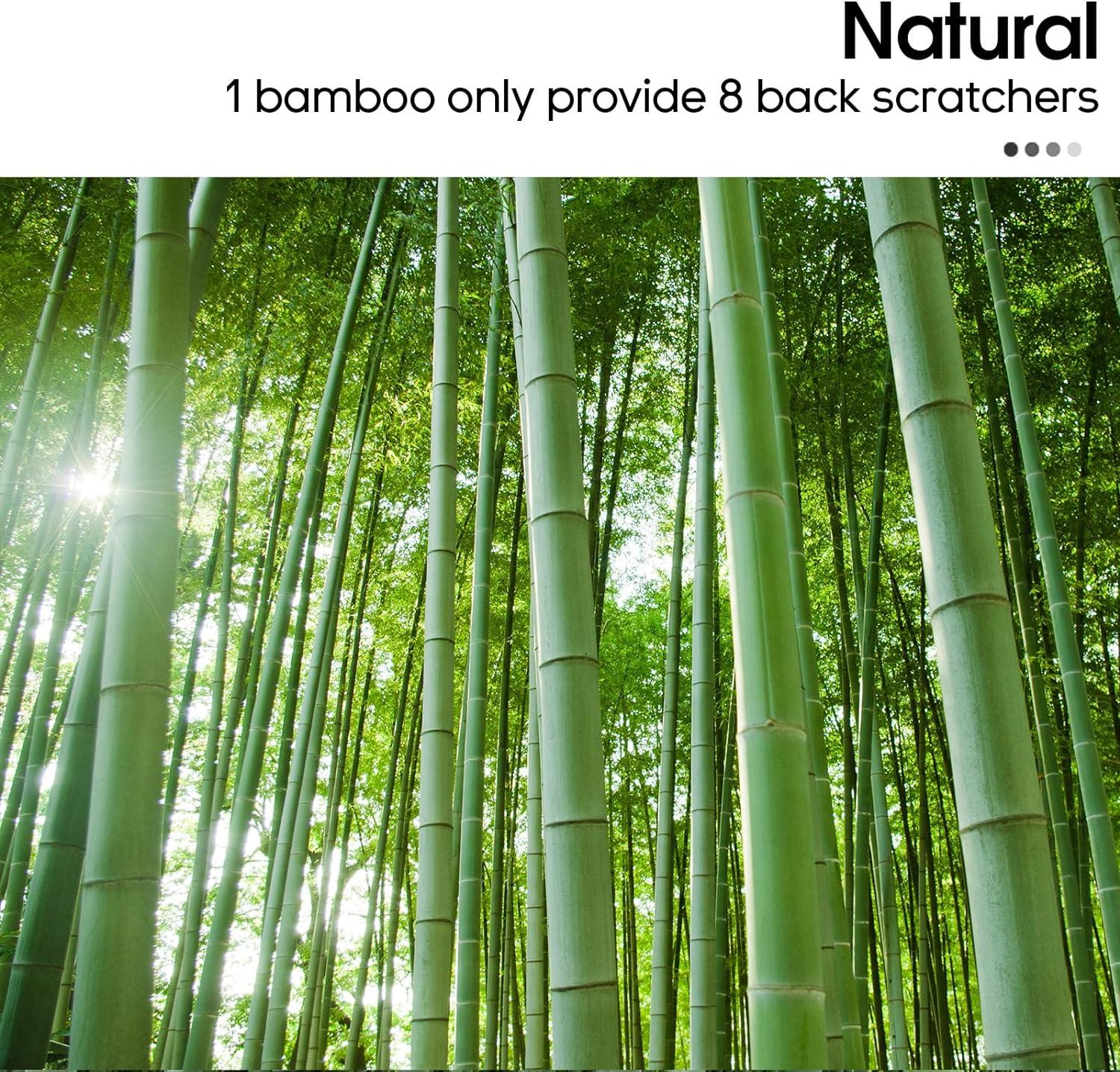 WarmLife Bamboo Back Scratcher - 2 Piece Set | 17 Inch Curved Long Handle |  Perfect Gifts for Men Women Mom & Dad | International Shipping Available |  Buy Now with Express International Delivery | GoSupps.com